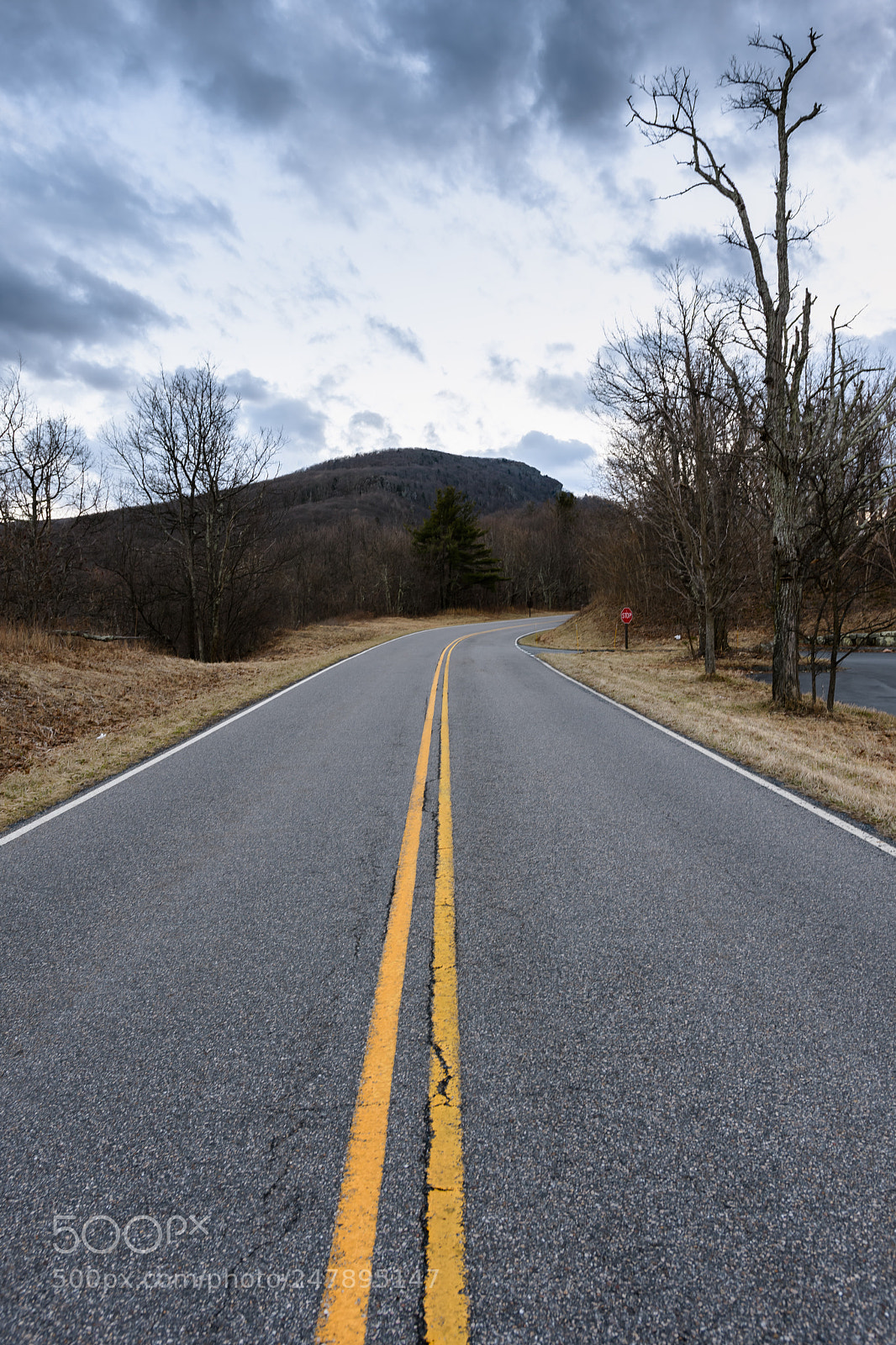 Nikon D500 sample photo. Moody roads photography