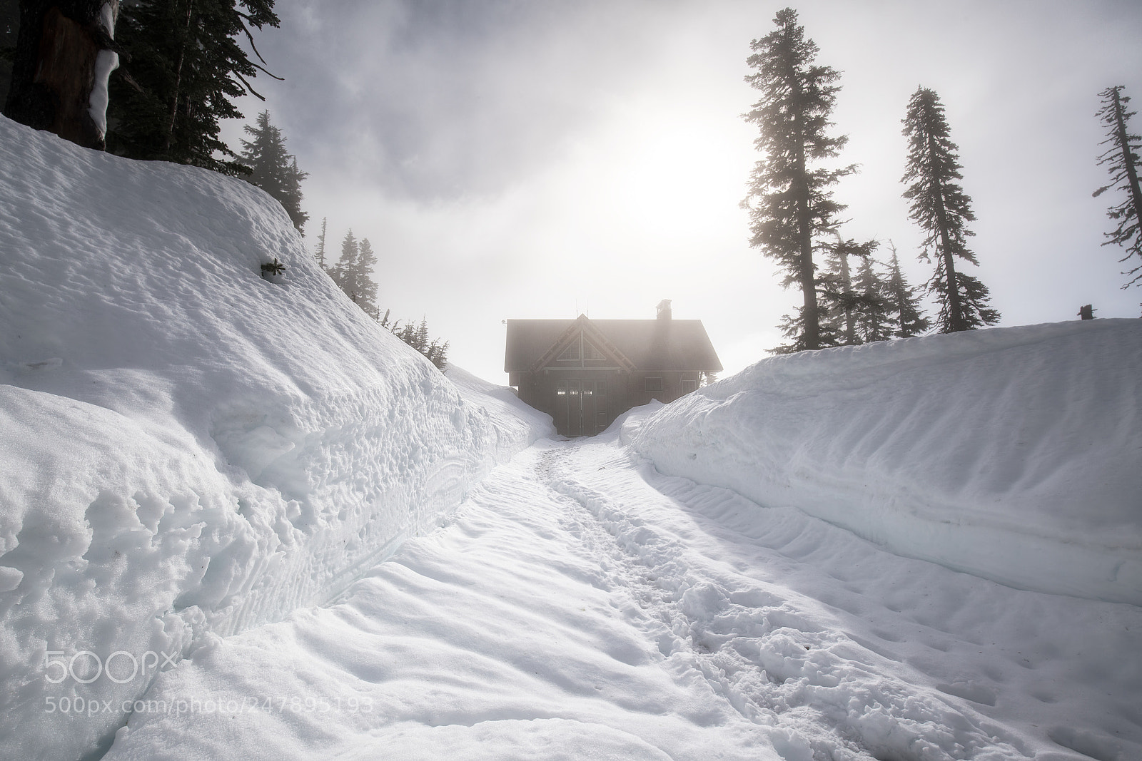 Sony a7R III sample photo. Snow photography