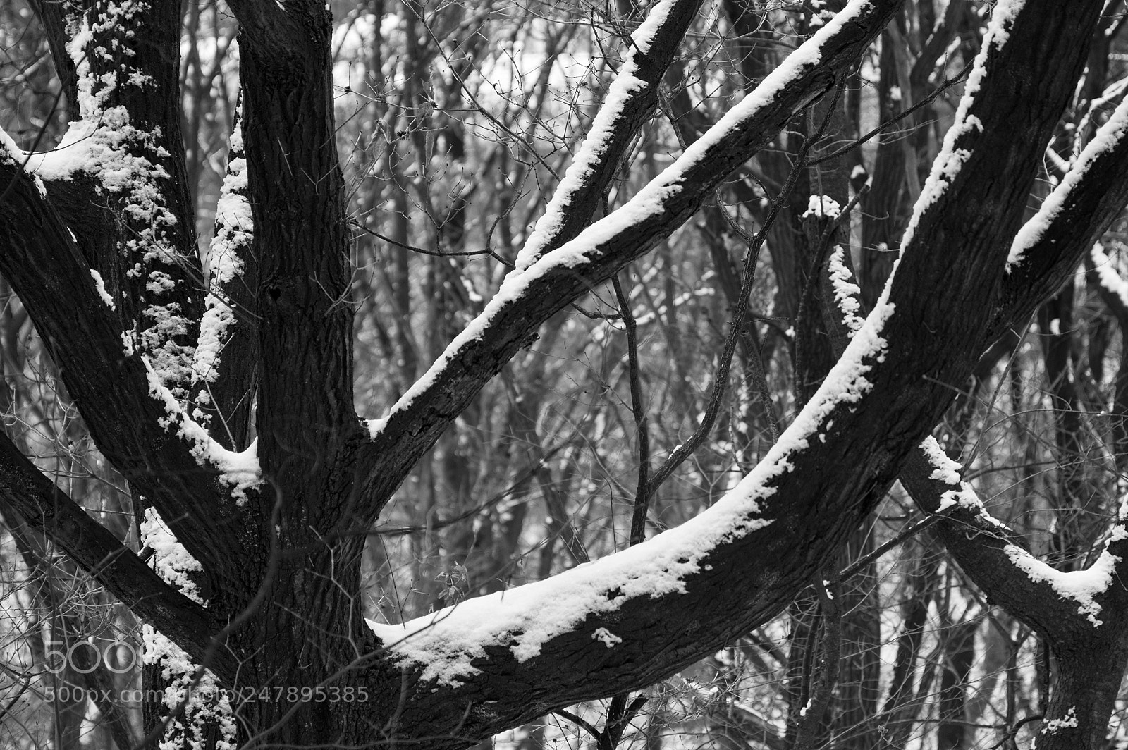 Pentax K-3 sample photo. Corxistence photography
