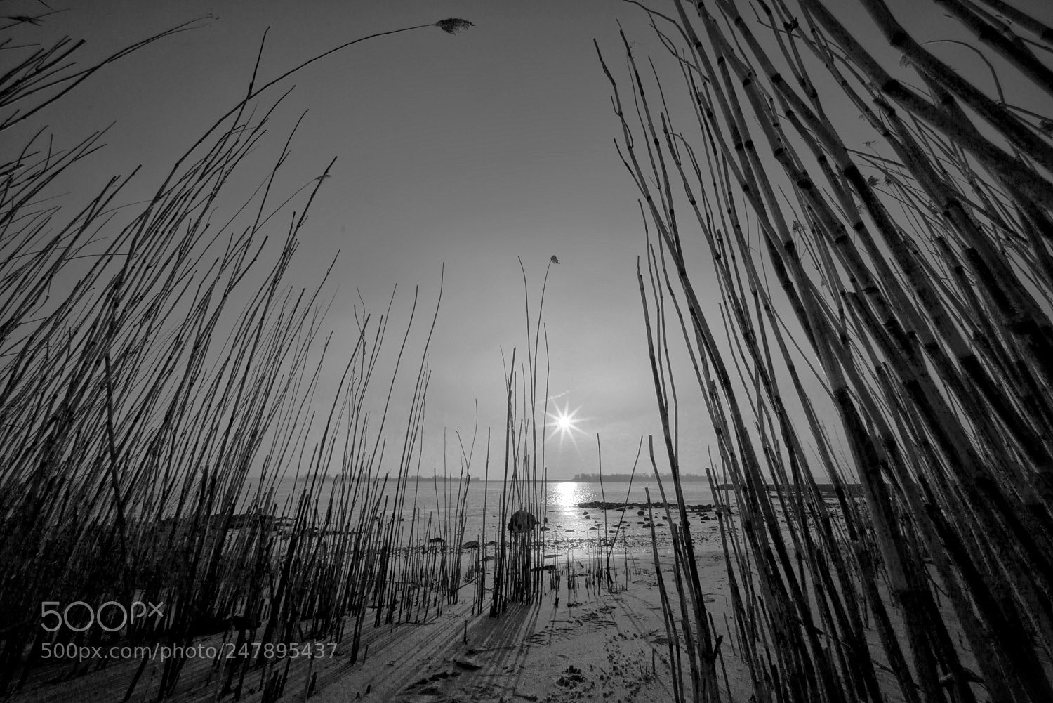 Sony a7R sample photo. Cold sunset photography