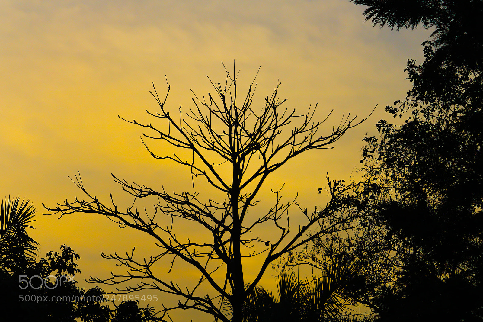 Canon EOS 750D (EOS Rebel T6i / EOS Kiss X8i) sample photo. Still have time ... photography