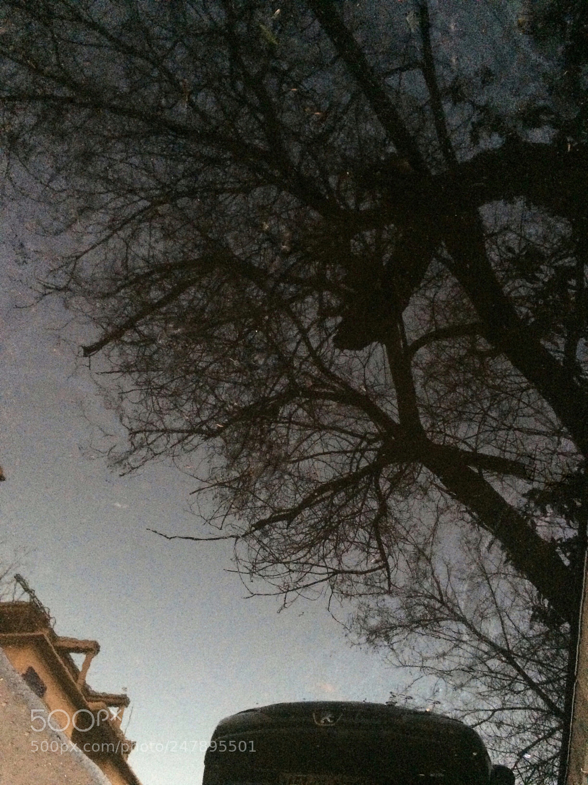 Apple iPhone 5s sample photo. Untitled photography