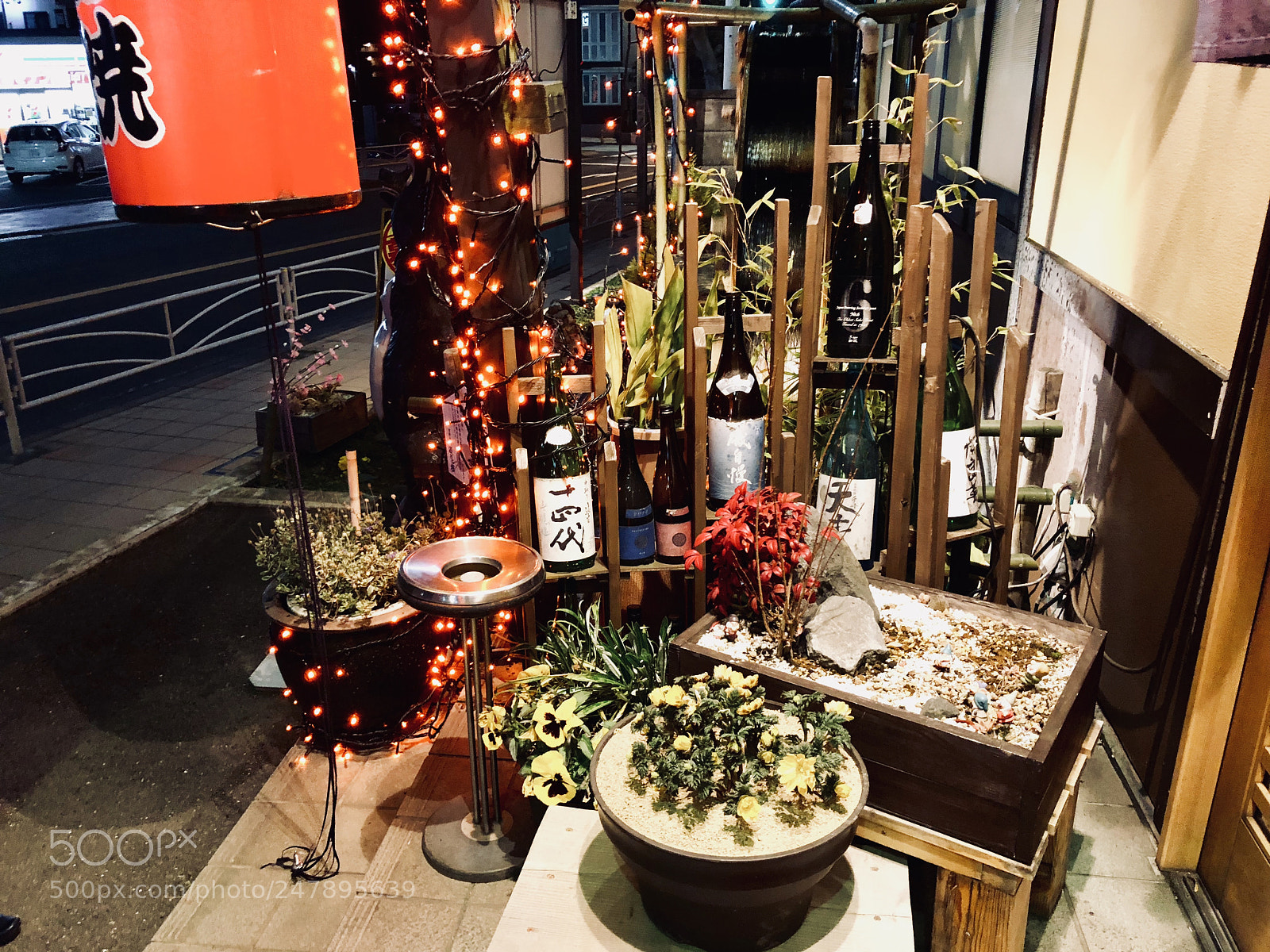 Apple iPhone 8 Plus sample photo. The wine tree photography