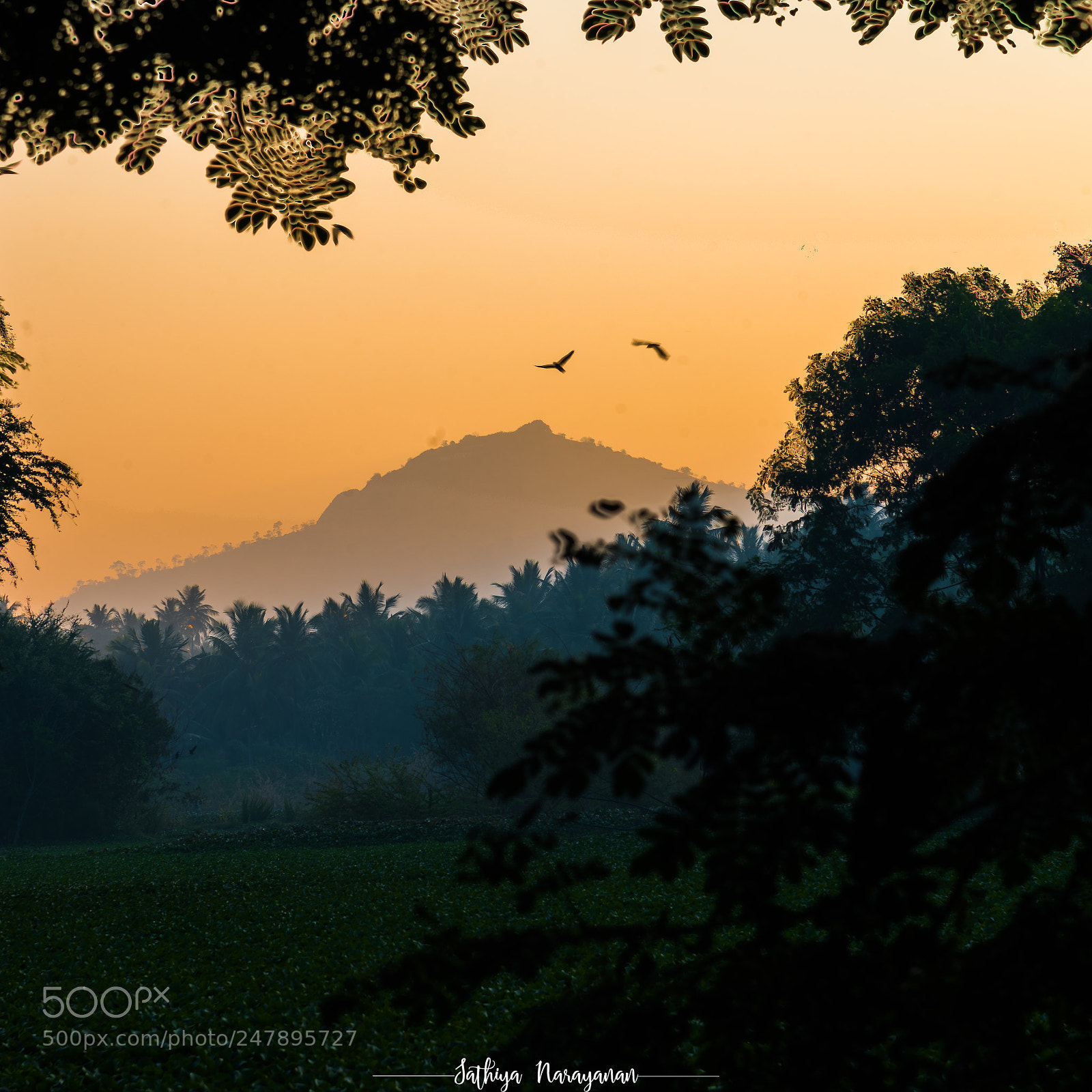 Nikon D810 sample photo. Morning pleasentry photography