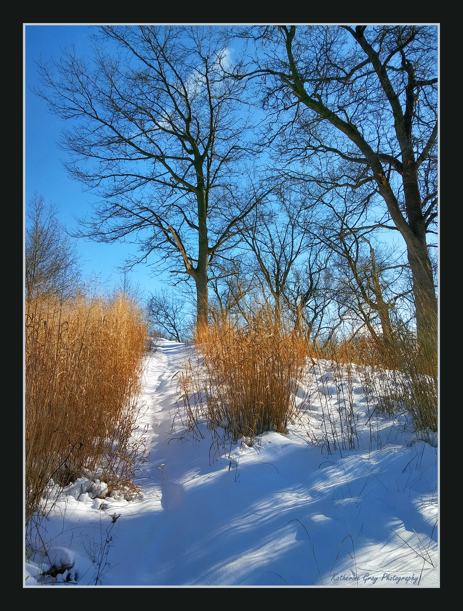 LG STYLO 2 PLUS sample photo. Winter's blue photography