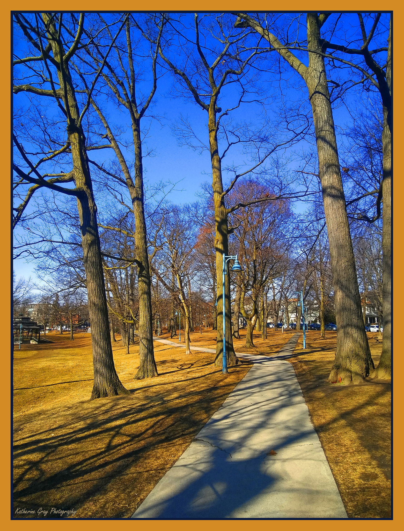 LG STYLO 2 PLUS sample photo. Winter's orange photography