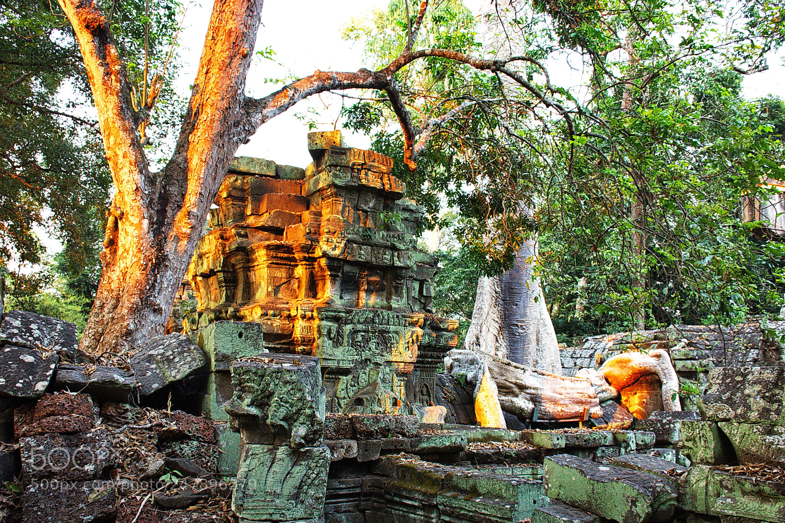 Nikon D7200 sample photo. Ta prohm temple, angkorwatt photography