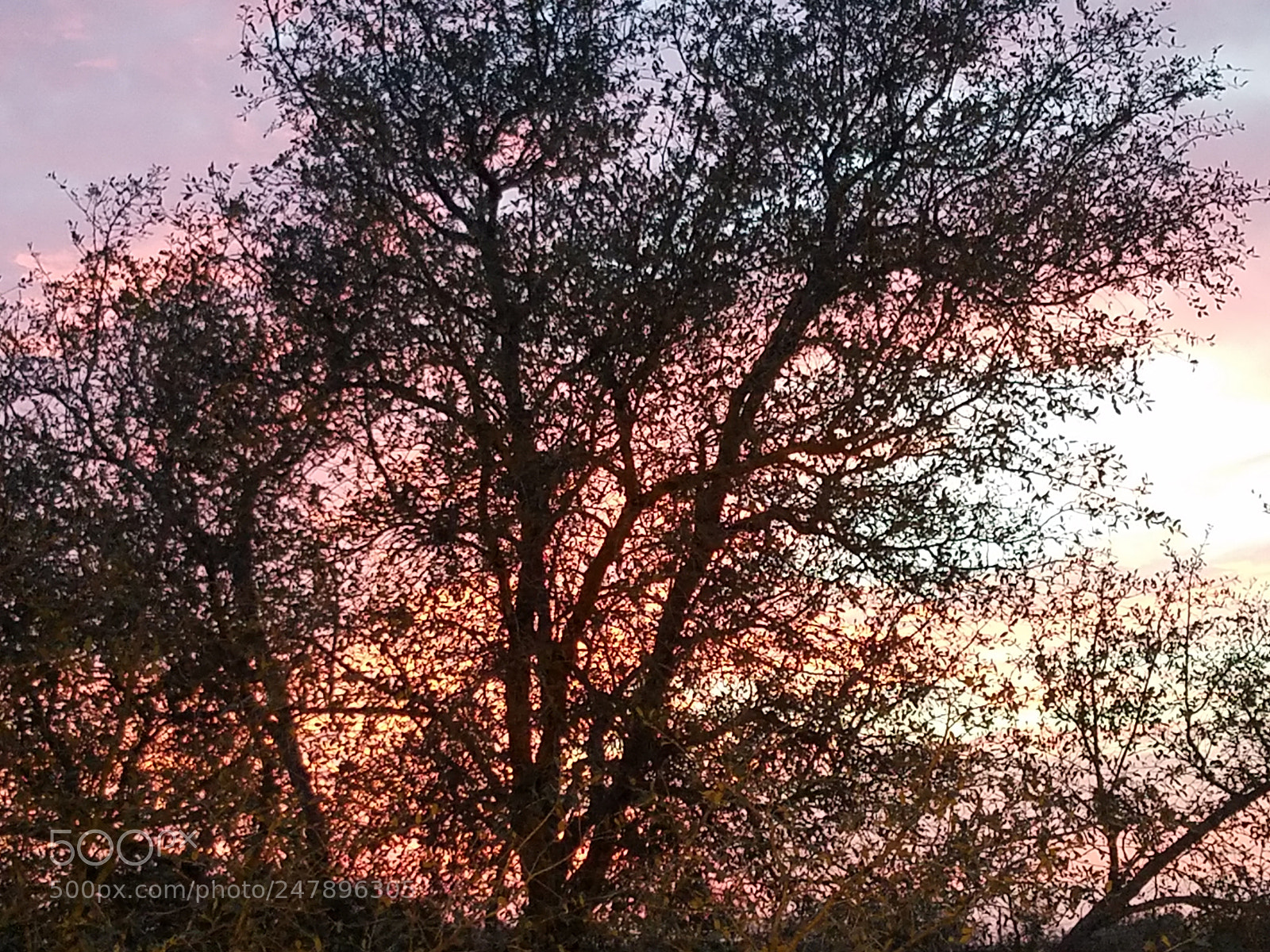 Samsung Galaxy S7 sample photo. Ltc photography