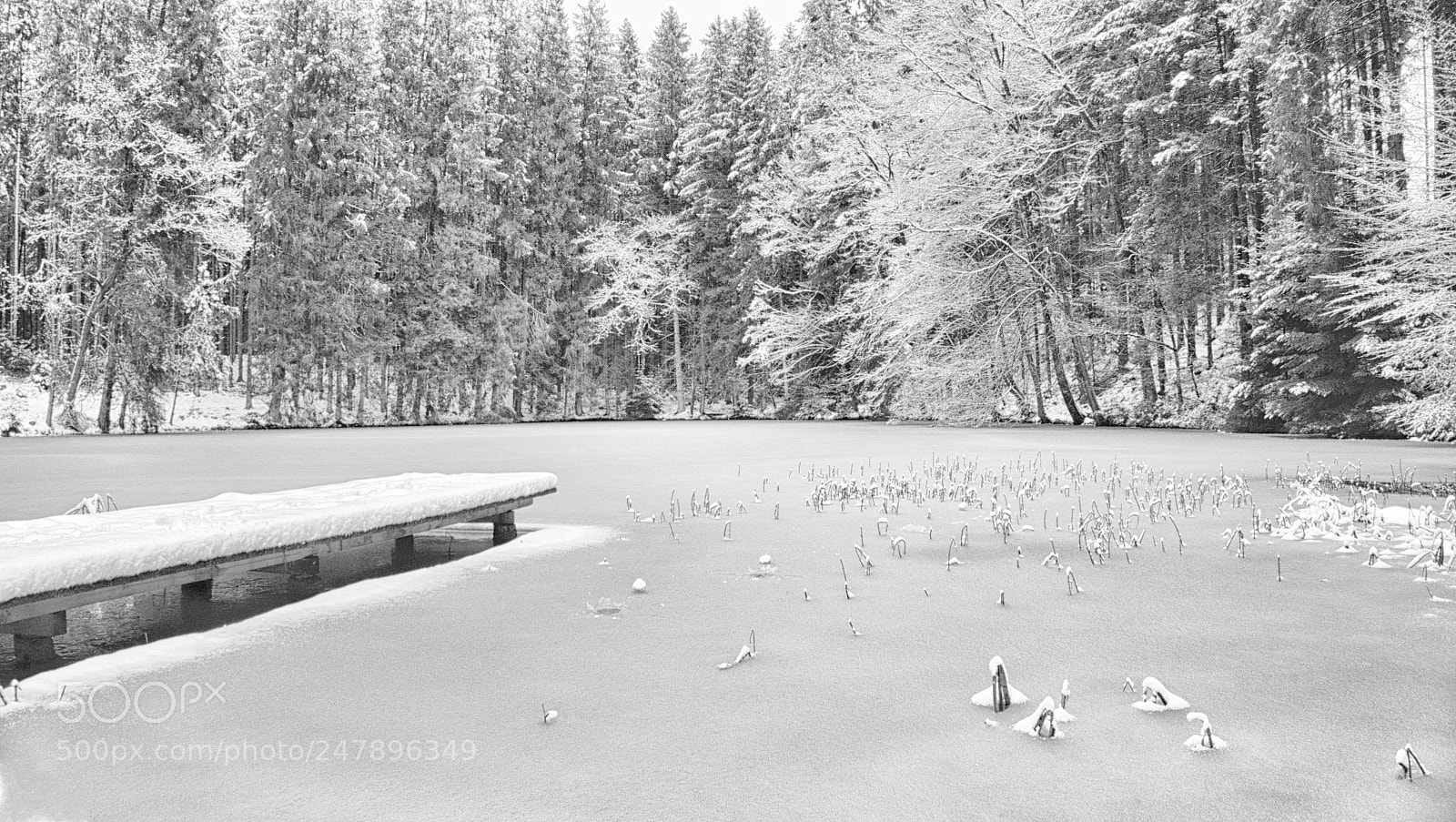 Panasonic Lumix DMC-FZ1000 sample photo. Frozen pond bw photography