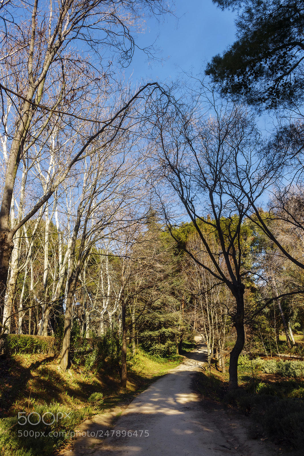 Canon EOS 700D (EOS Rebel T5i / EOS Kiss X7i) sample photo. Quinta de los molinos photography