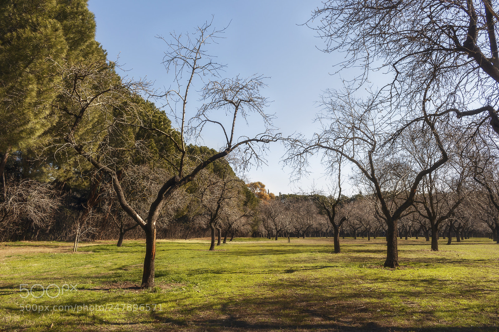 Canon EOS 700D (EOS Rebel T5i / EOS Kiss X7i) sample photo. Quinta de los molinos 2 photography