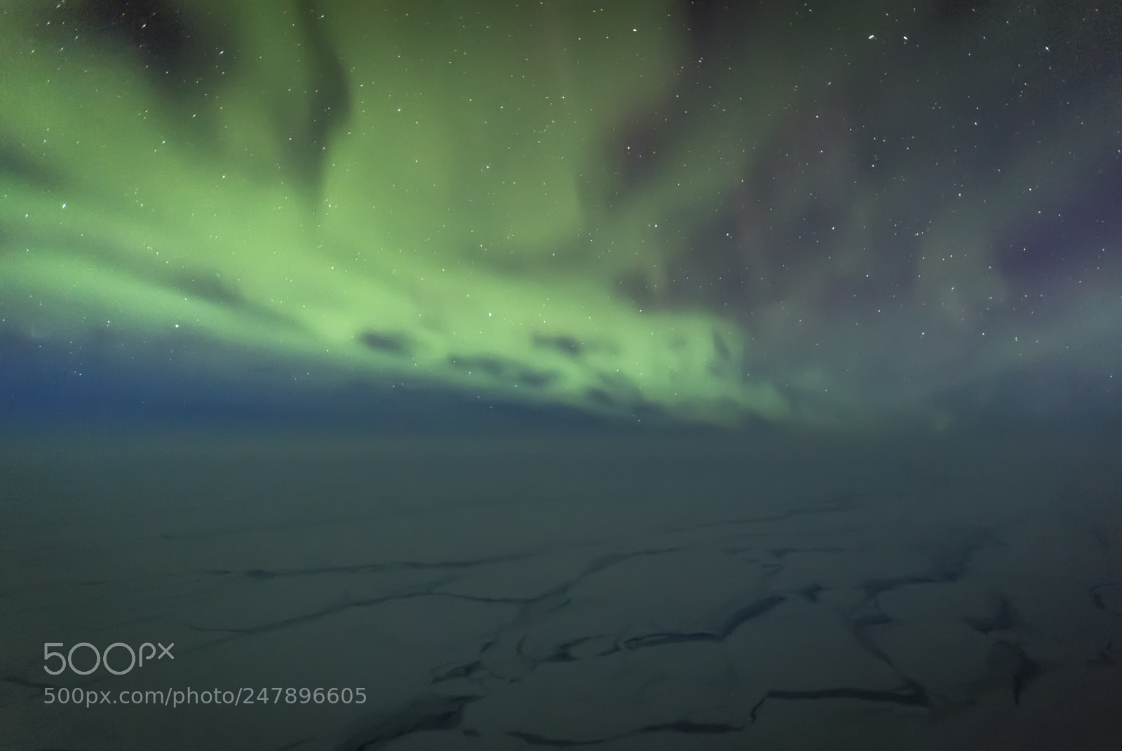 Nikon D5 sample photo. Northern lights photography