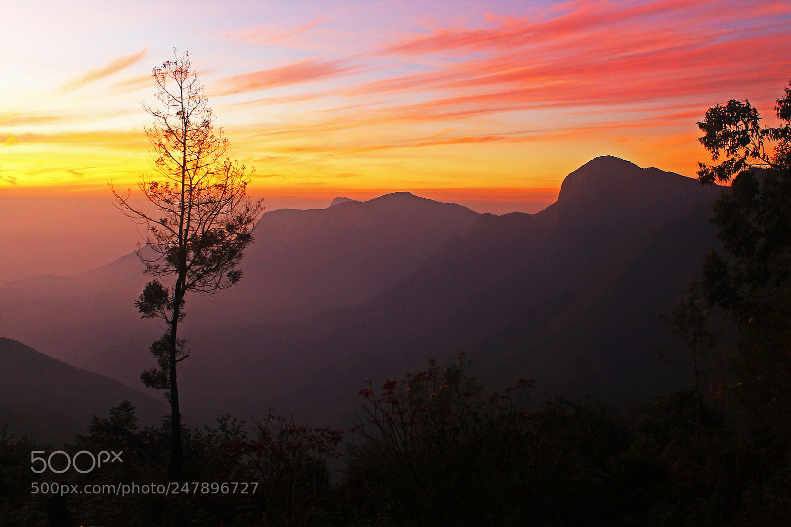 Canon EOS 1100D (EOS Rebel T3 / EOS Kiss X50) sample photo. Munnar sunrise photography
