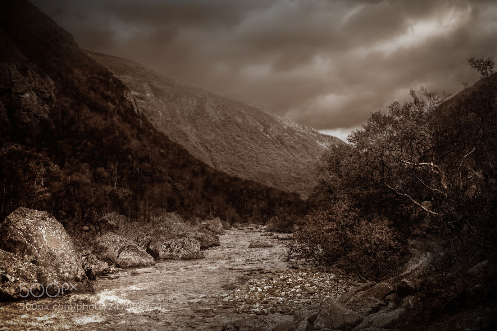 Canon EOS 7D sample photo. Mountain birch and brook photography