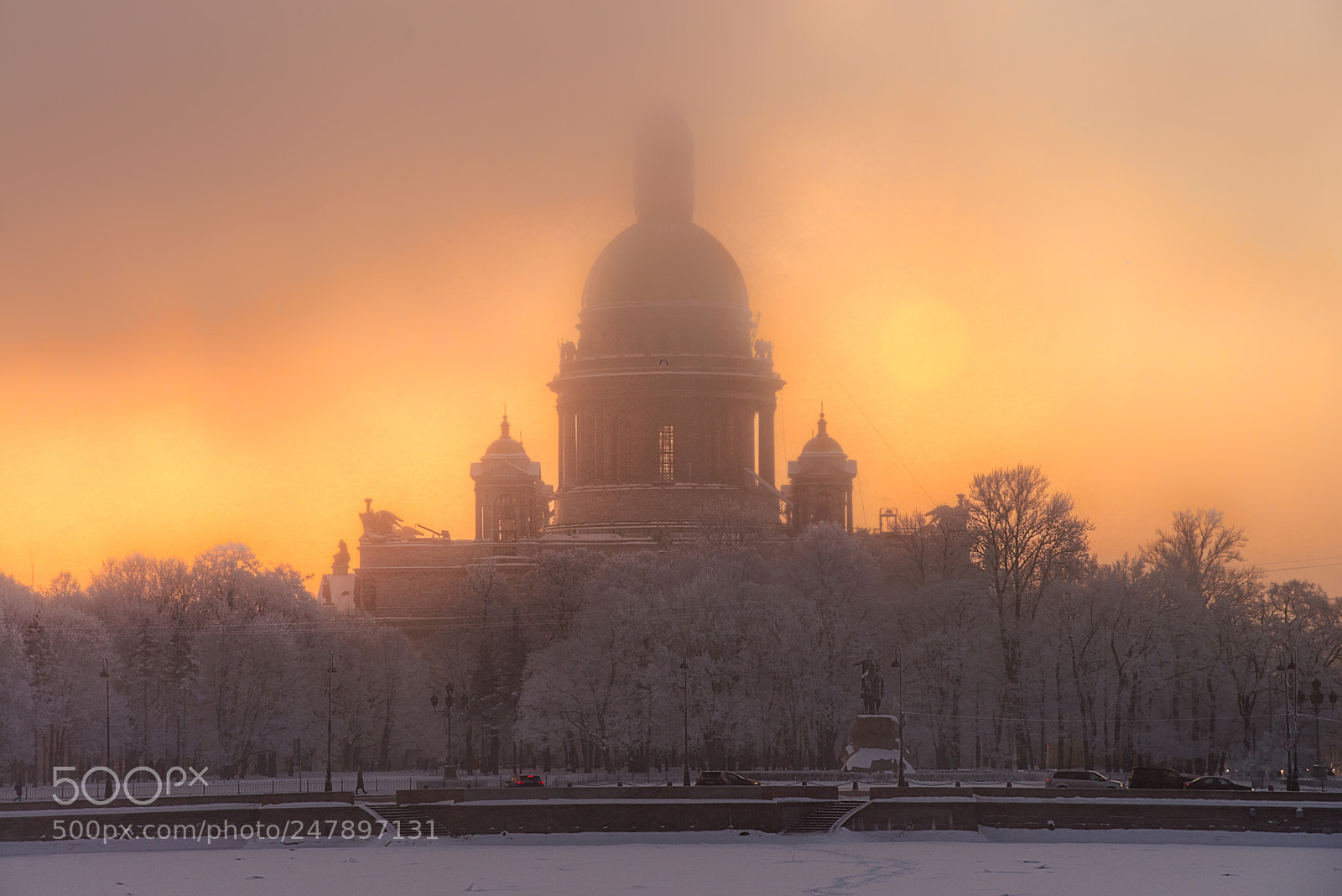 Nikon D610 sample photo. туманное утро... photography
