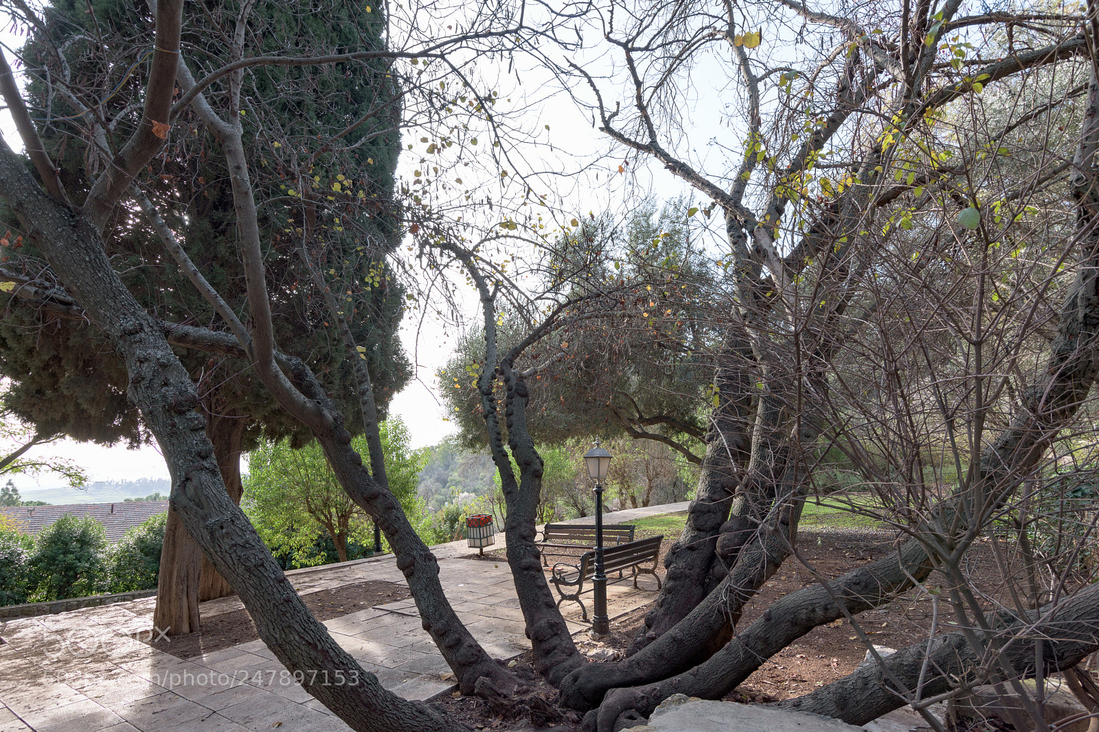 Nikon D7200 sample photo. Untitled photography