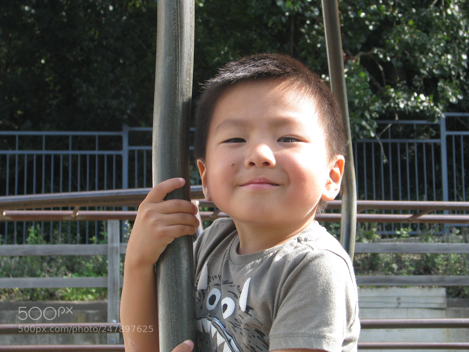 Canon POWERSHOT S5 IS sample photo. Dtc club term 1 2018 photography