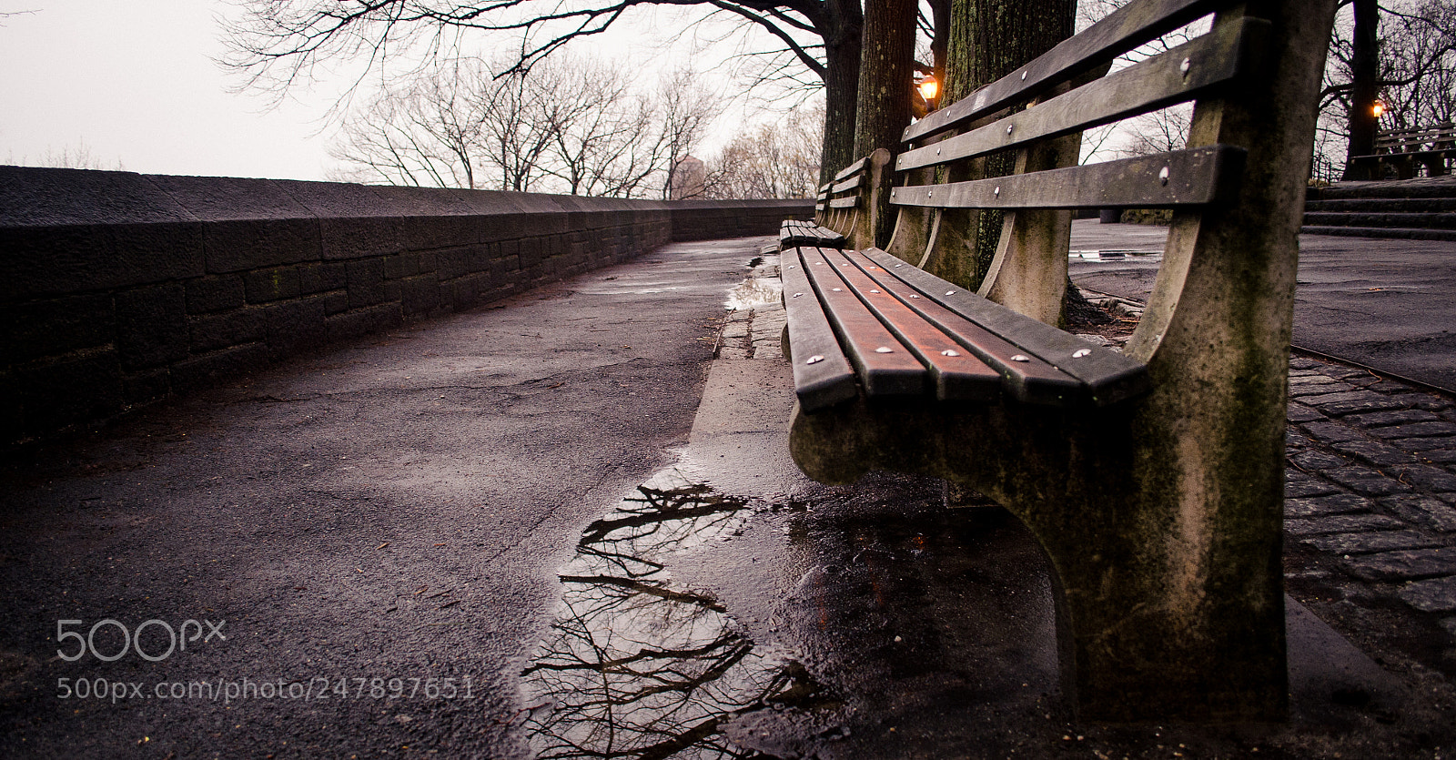 Nikon D5100 sample photo. Benches and puddles photography