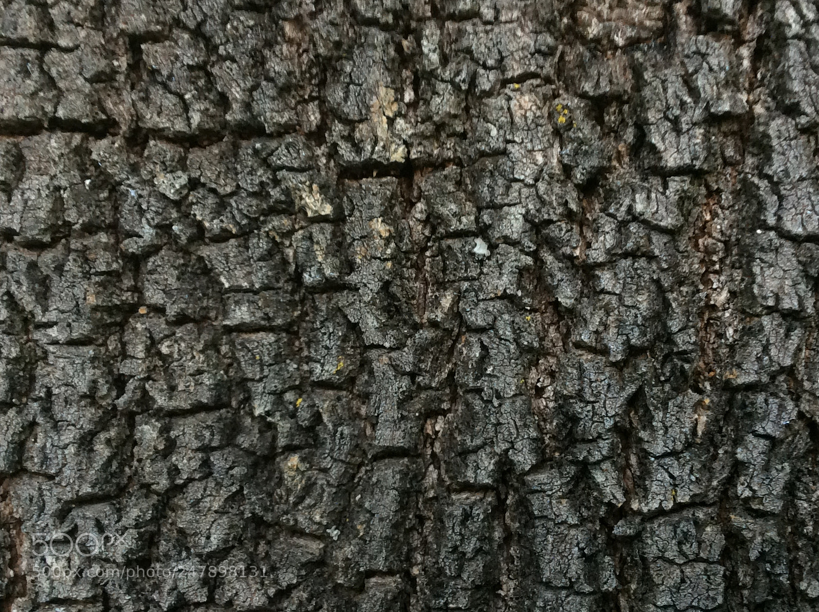 Apple iPad mini 2 sample photo. Untitled photography