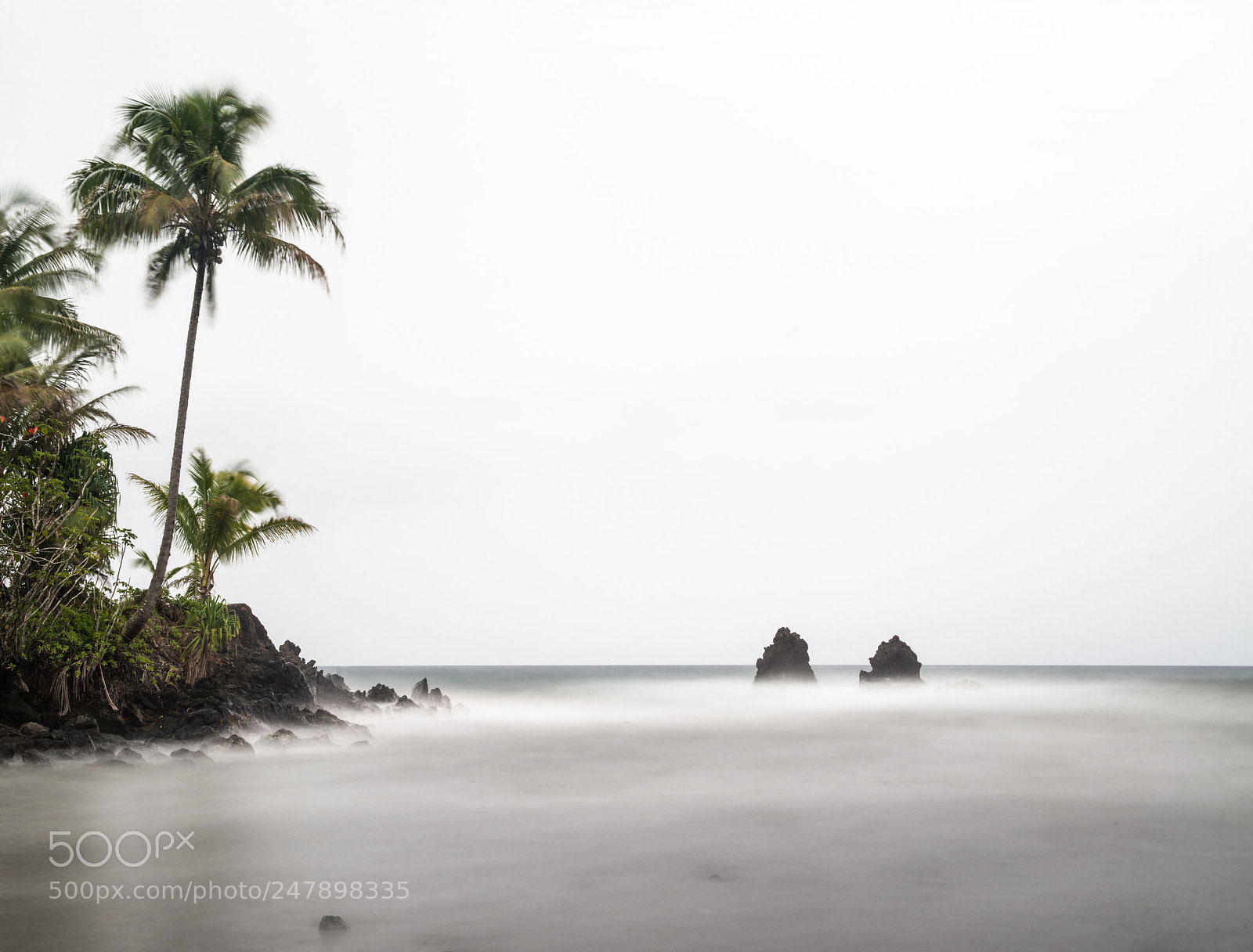 Nikon D800E sample photo. Onomea bay, hilo, hawaii photography