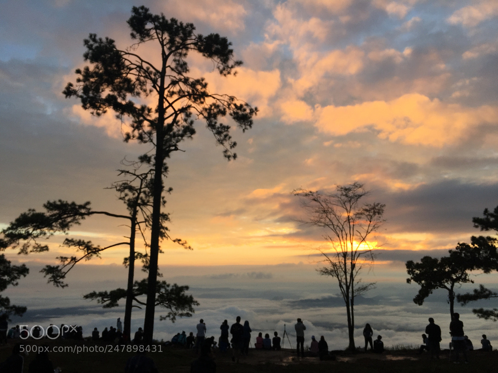 Apple iPhone 6 Plus sample photo. Phu kradeung, thailand photography