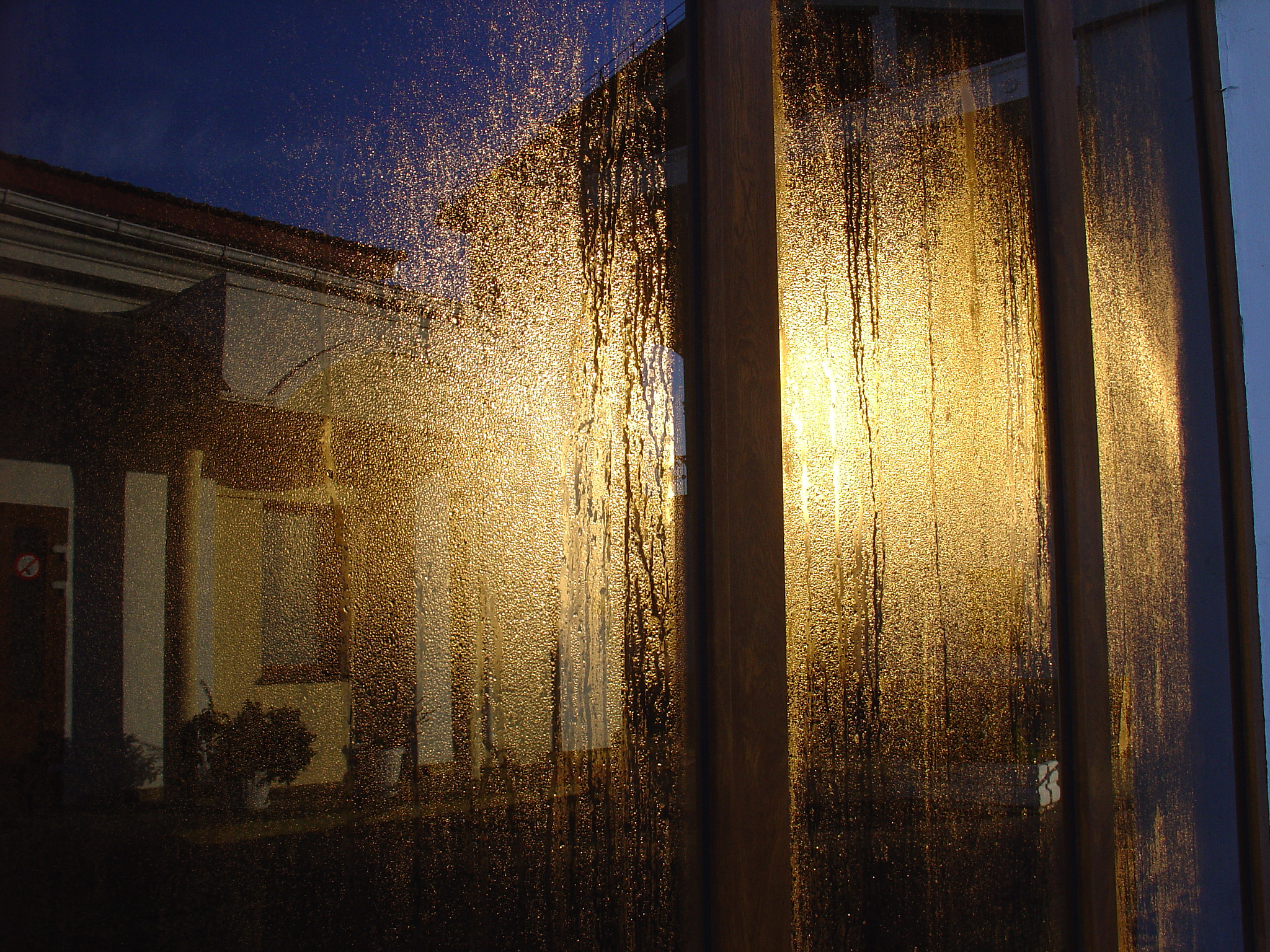 Sony DSC-V1 sample photo. Light inside the window photography