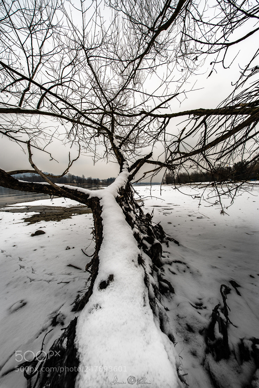 Sony a9 sample photo. Nature view photography