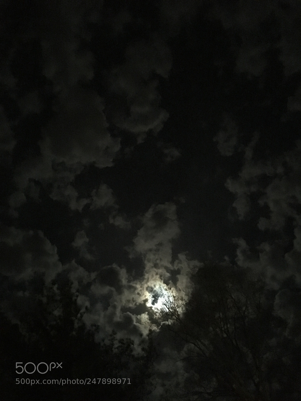 Apple iPhone SE sample photo. Hiding photography