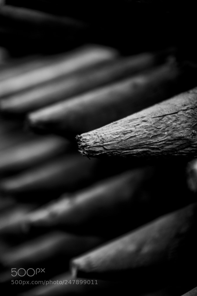 Pentax K20D sample photo. Pfahl spitzen / pointed stake photography