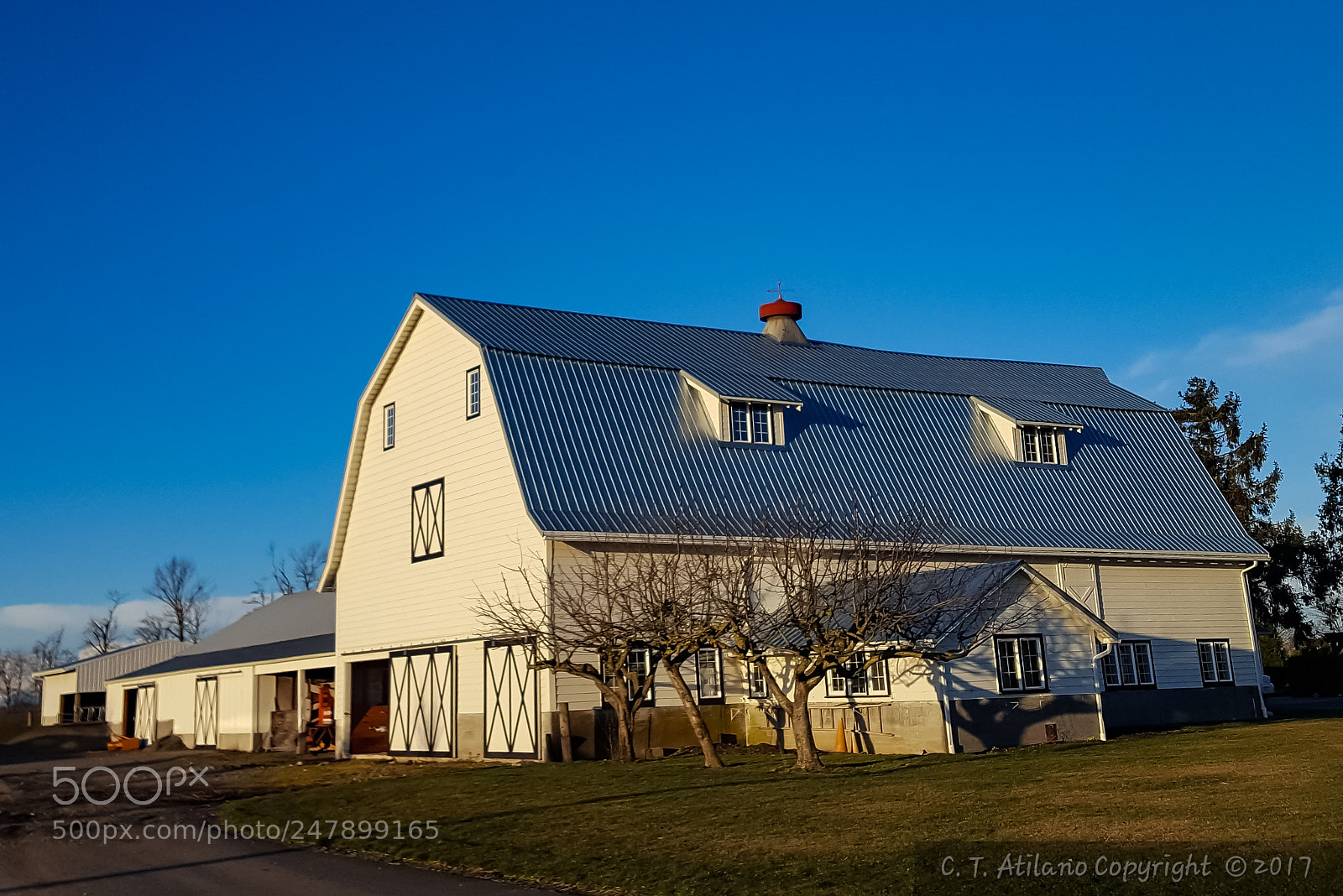 Samsung GALAXY S6 edge sample photo. Farm living photography