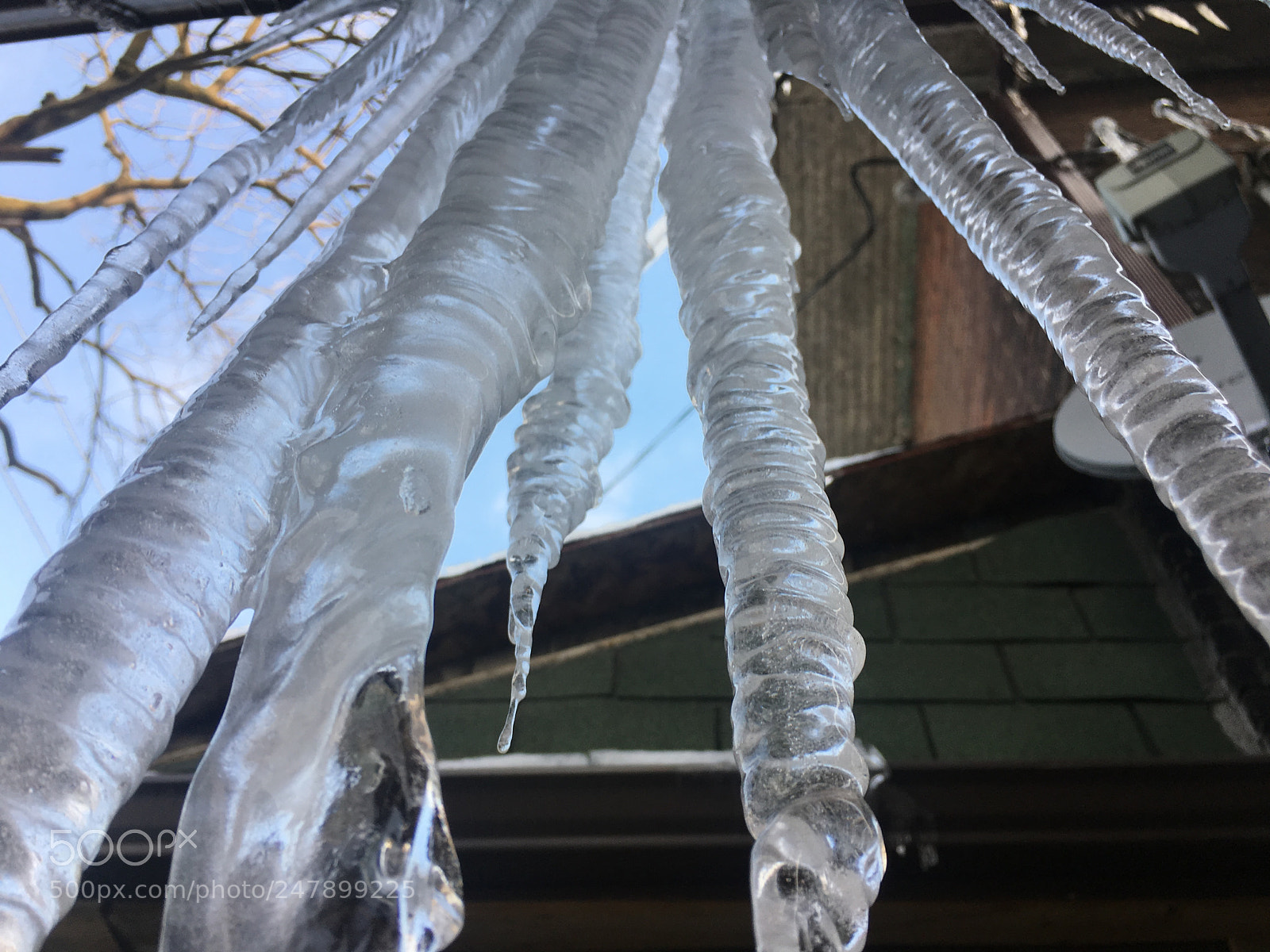 Apple iPhone 6s sample photo. Nature's ice sculpture photography