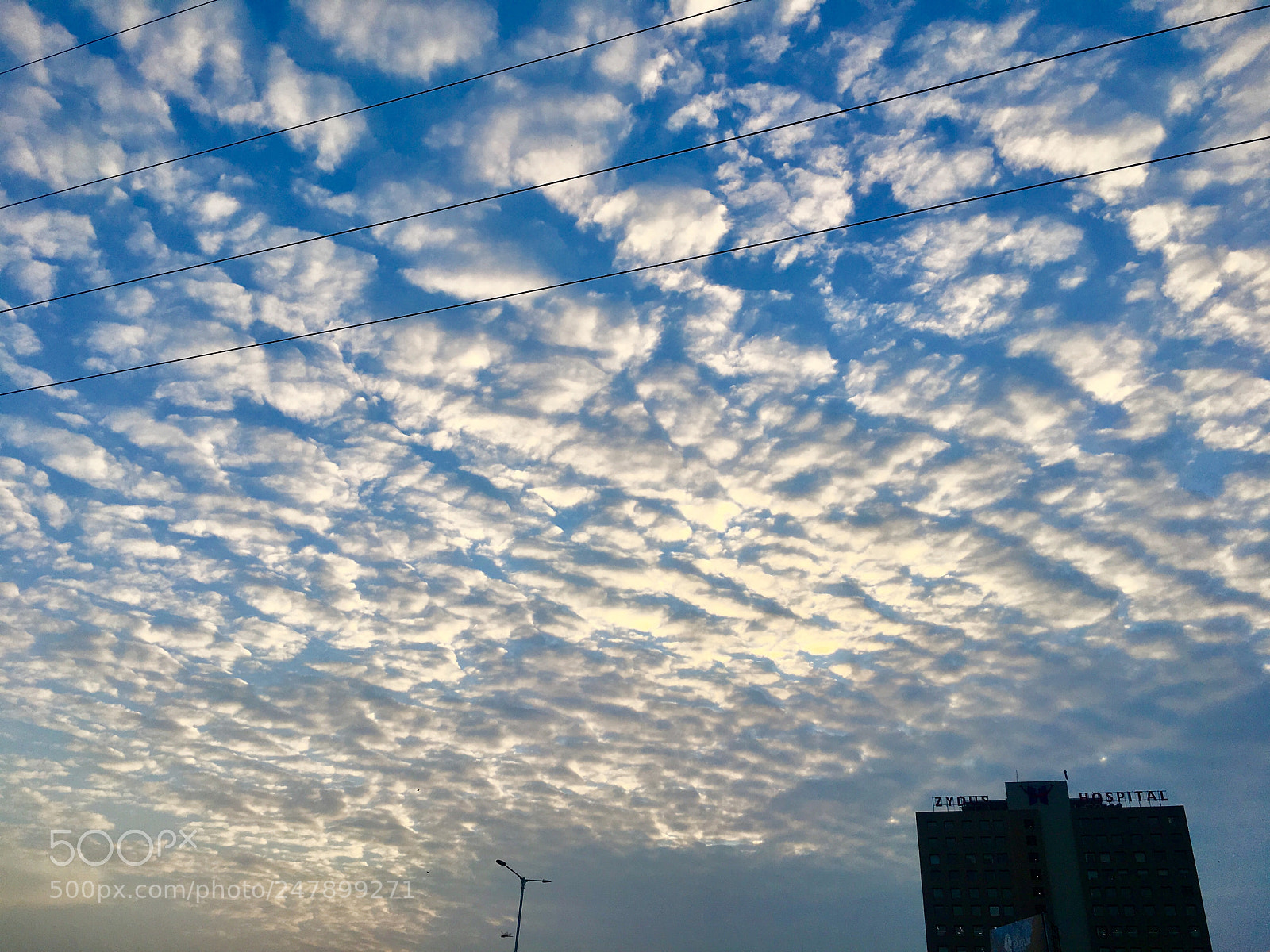 Apple iPhone 6s sample photo. Pattern photography
