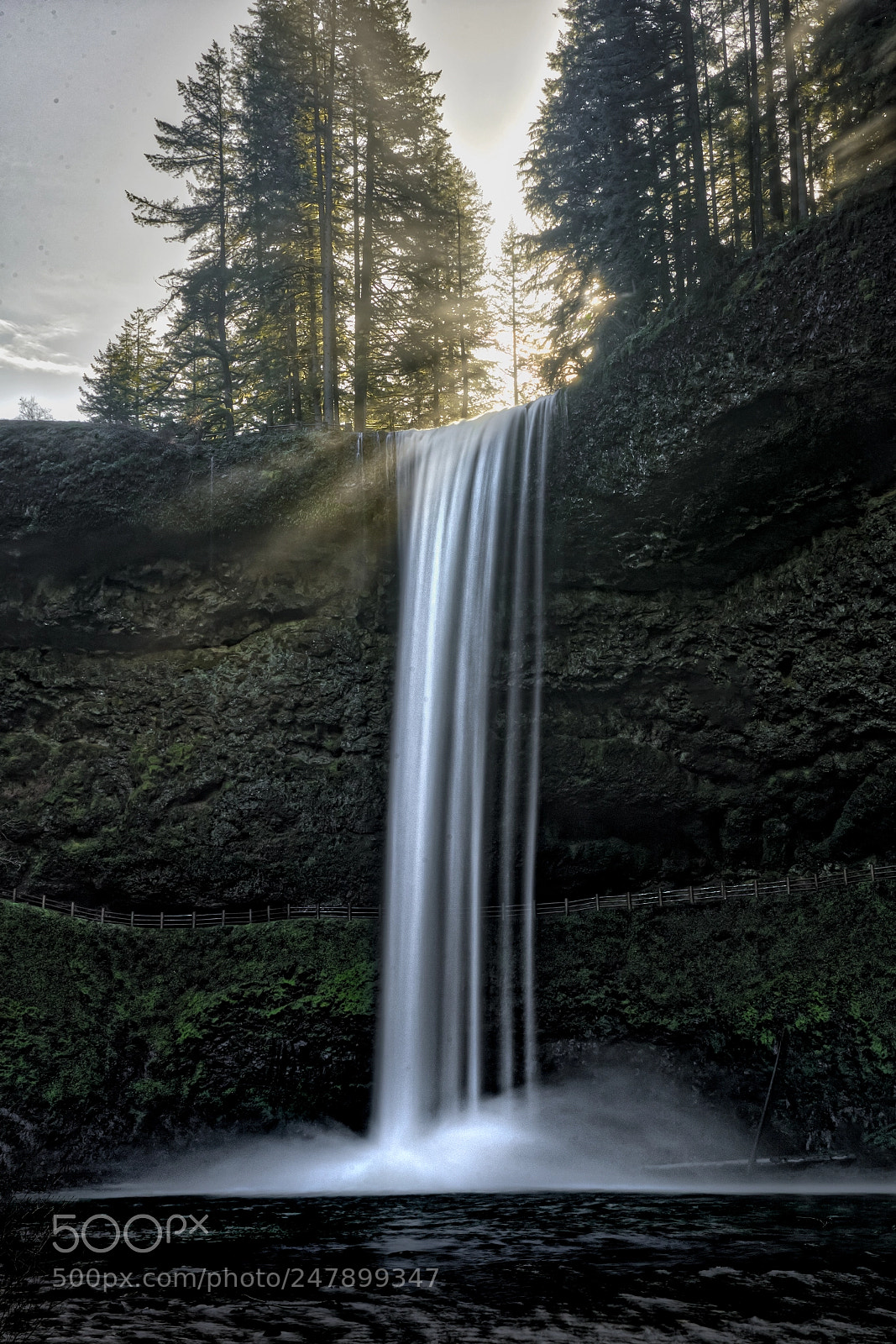 Canon EOS-1D X Mark II sample photo. Silver falls as the photography
