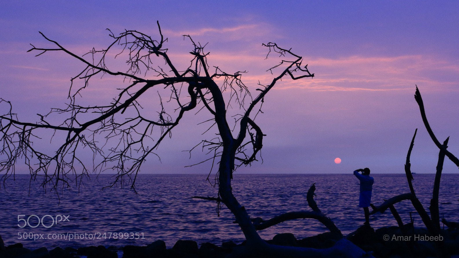 Canon EOS 650D (EOS Rebel T4i / EOS Kiss X6i) sample photo. Sunset love photography