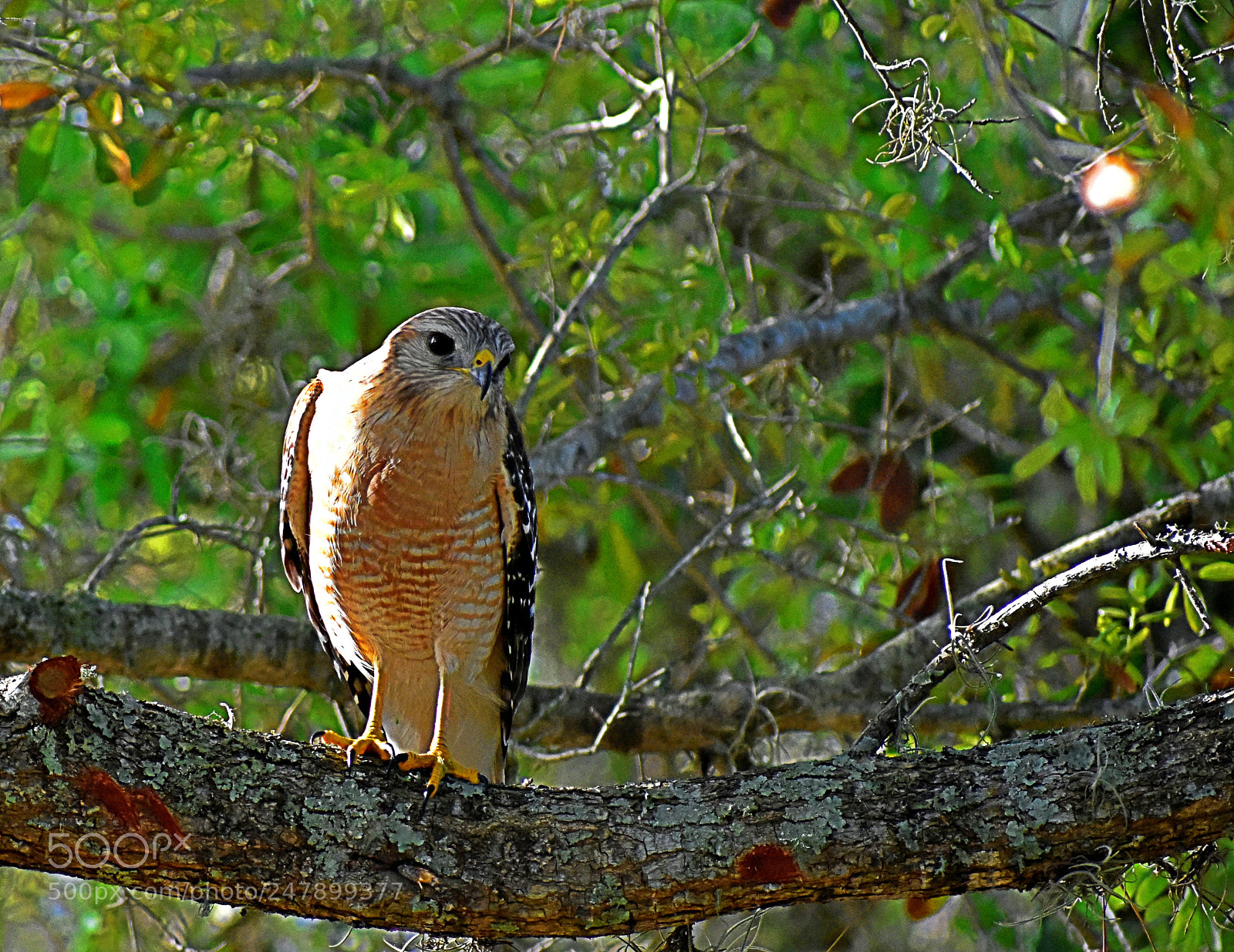 Nikon D3400 sample photo. Dsc photography