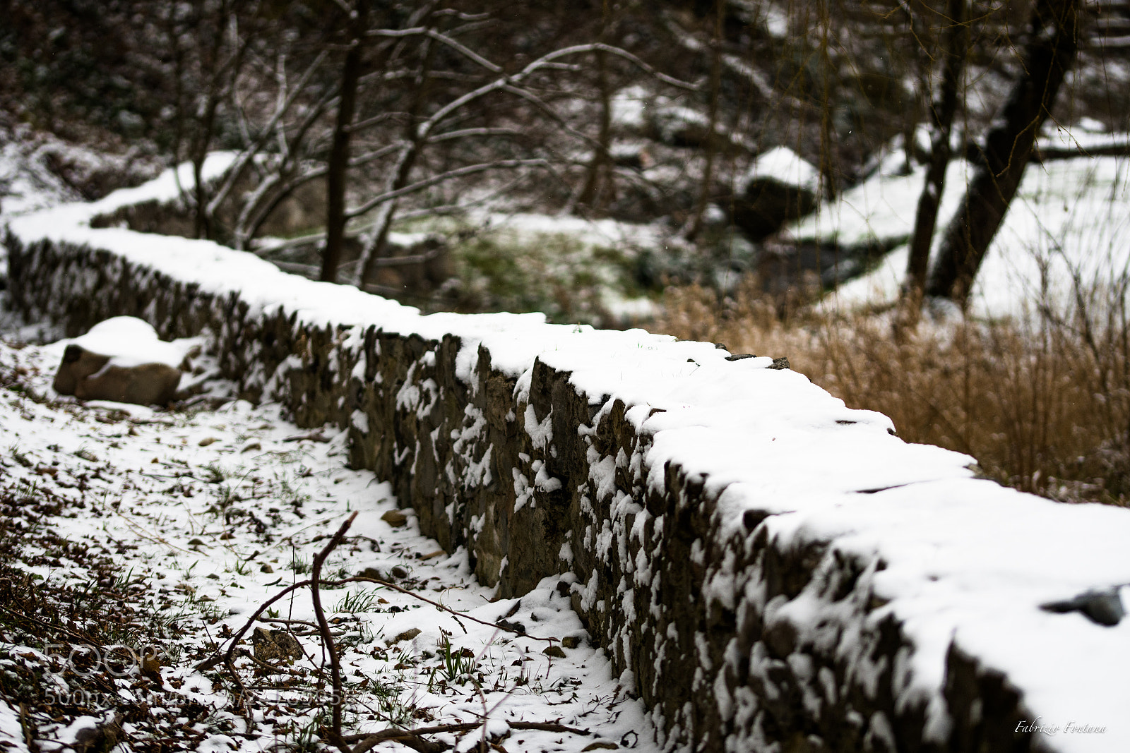 Nikon D500 sample photo. Untitled photography