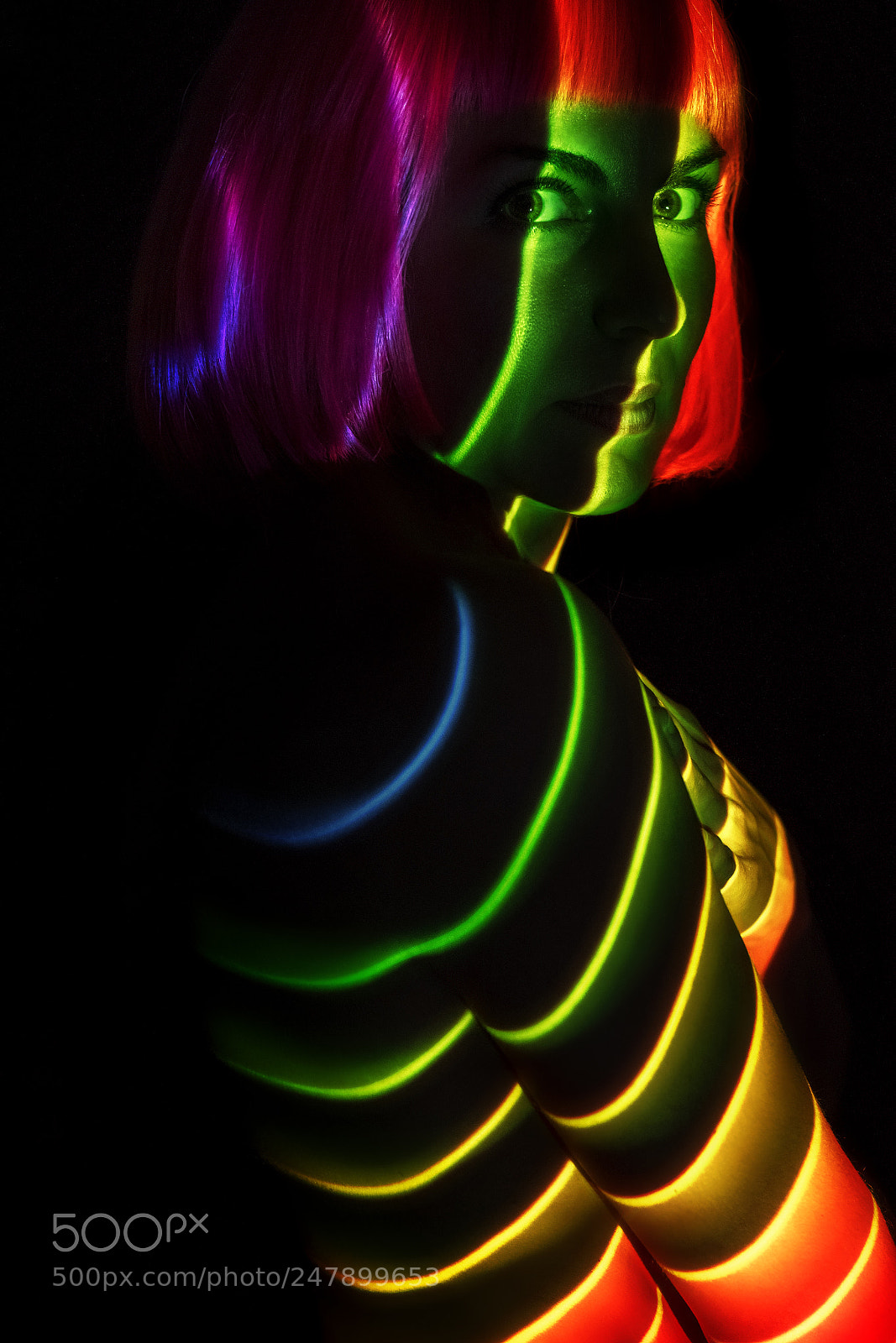 Nikon D500 sample photo. The light furs project photography