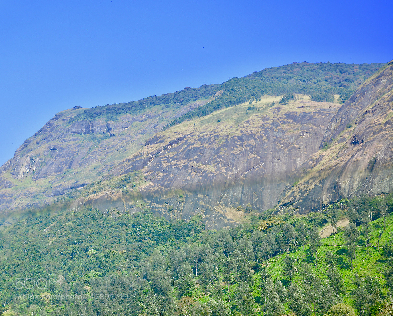 Nikon D5200 sample photo. Hanuman face at corner photography