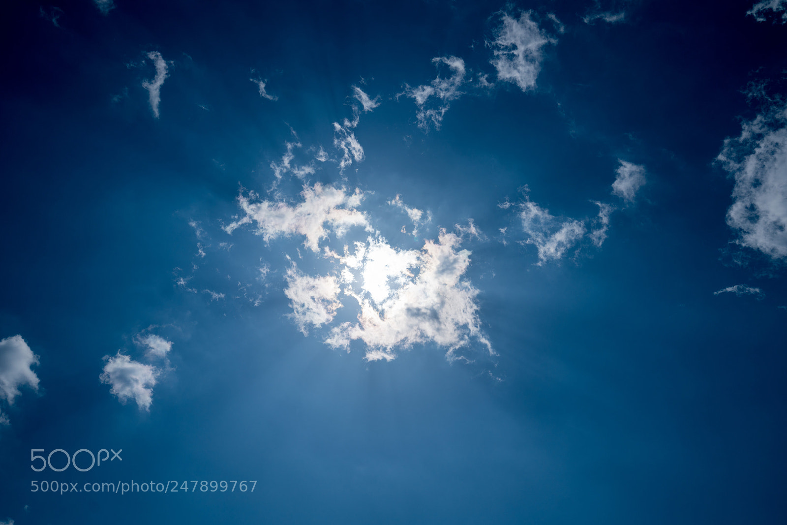 Sony a7R III sample photo. Untitled photography