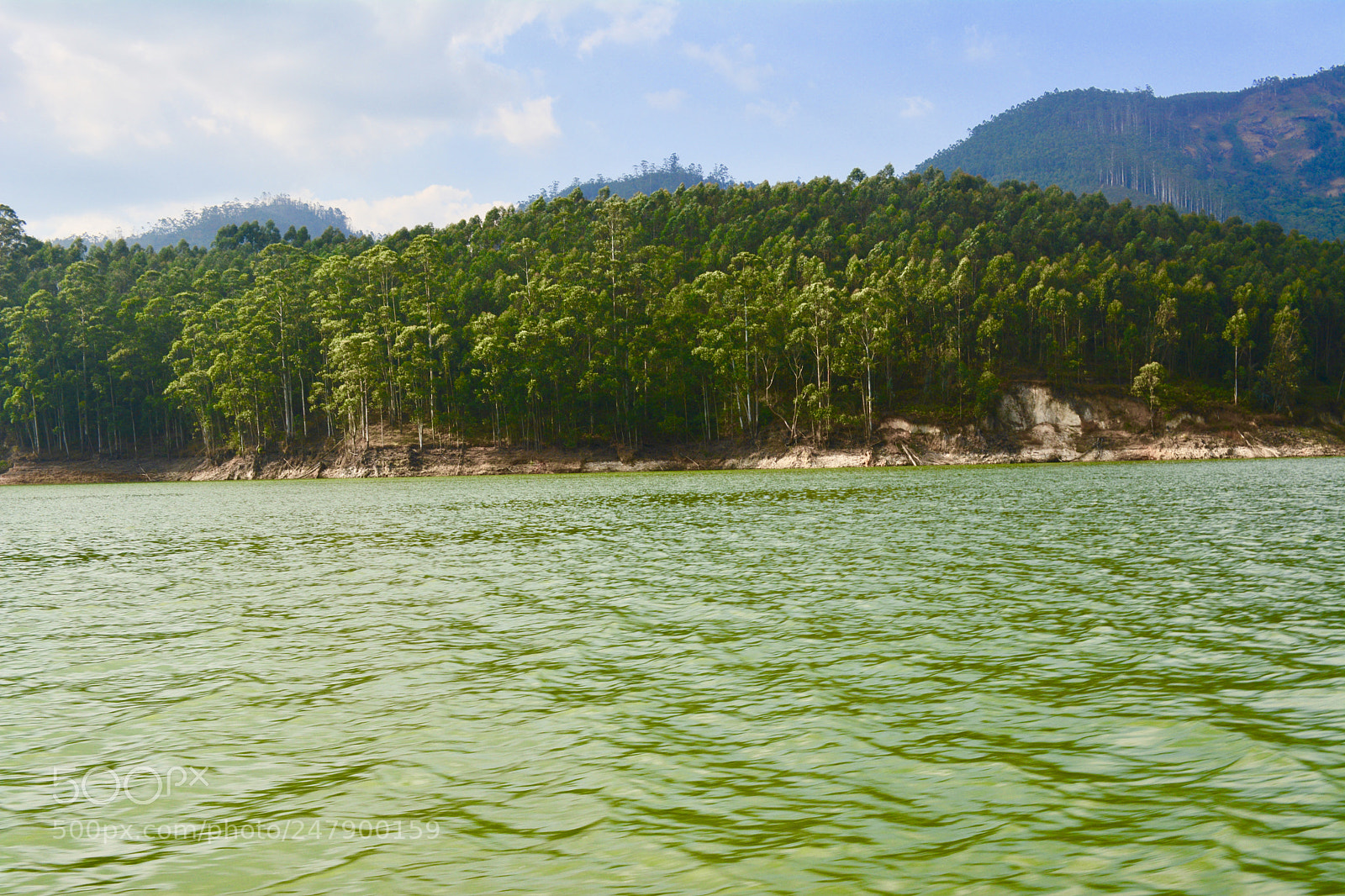 Nikon D5200 sample photo. Nature wallpaper photography