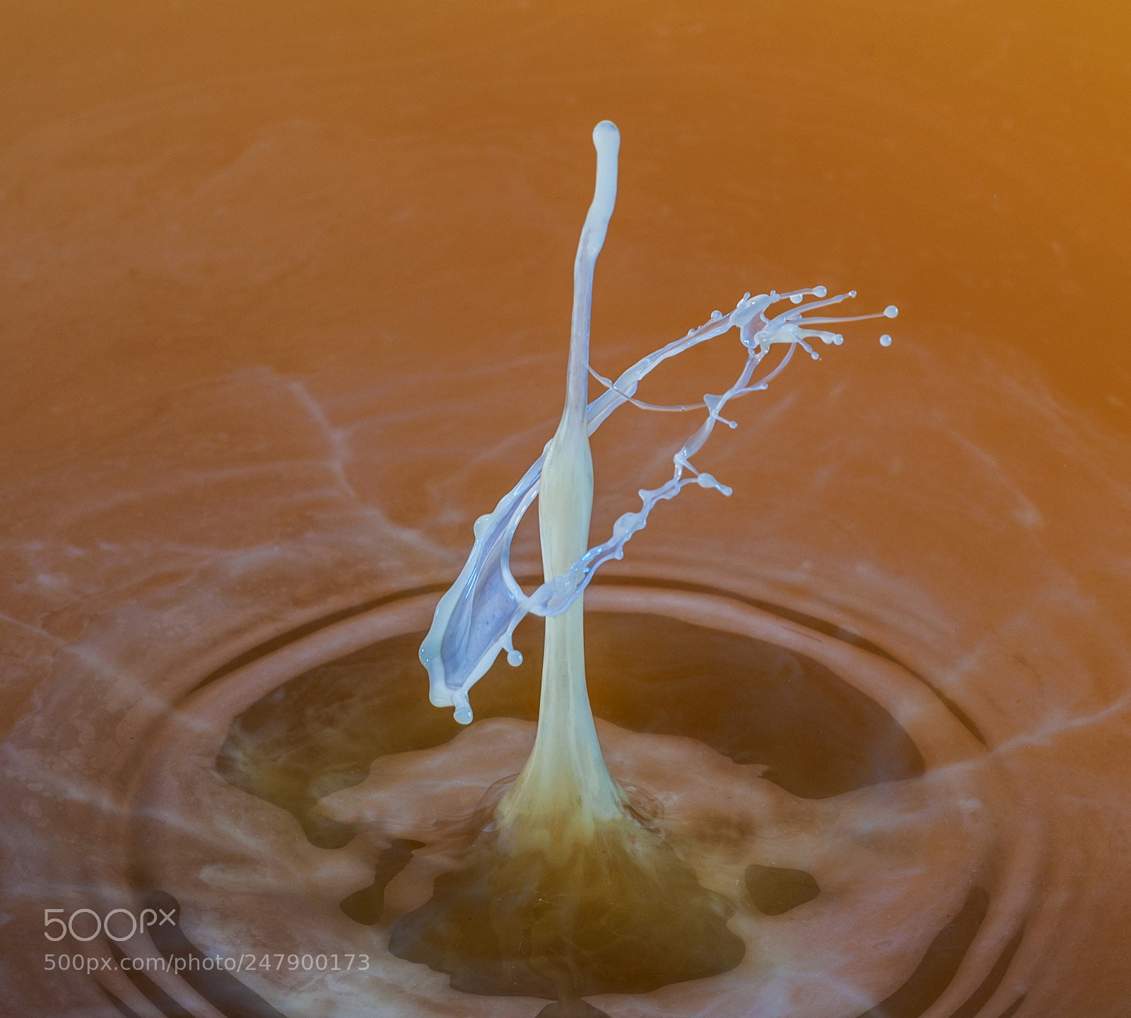 Nikon D90 sample photo. Milk photography