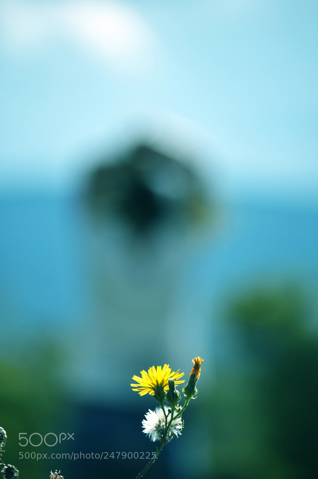 Nikon D5000 sample photo. Hello spring photography