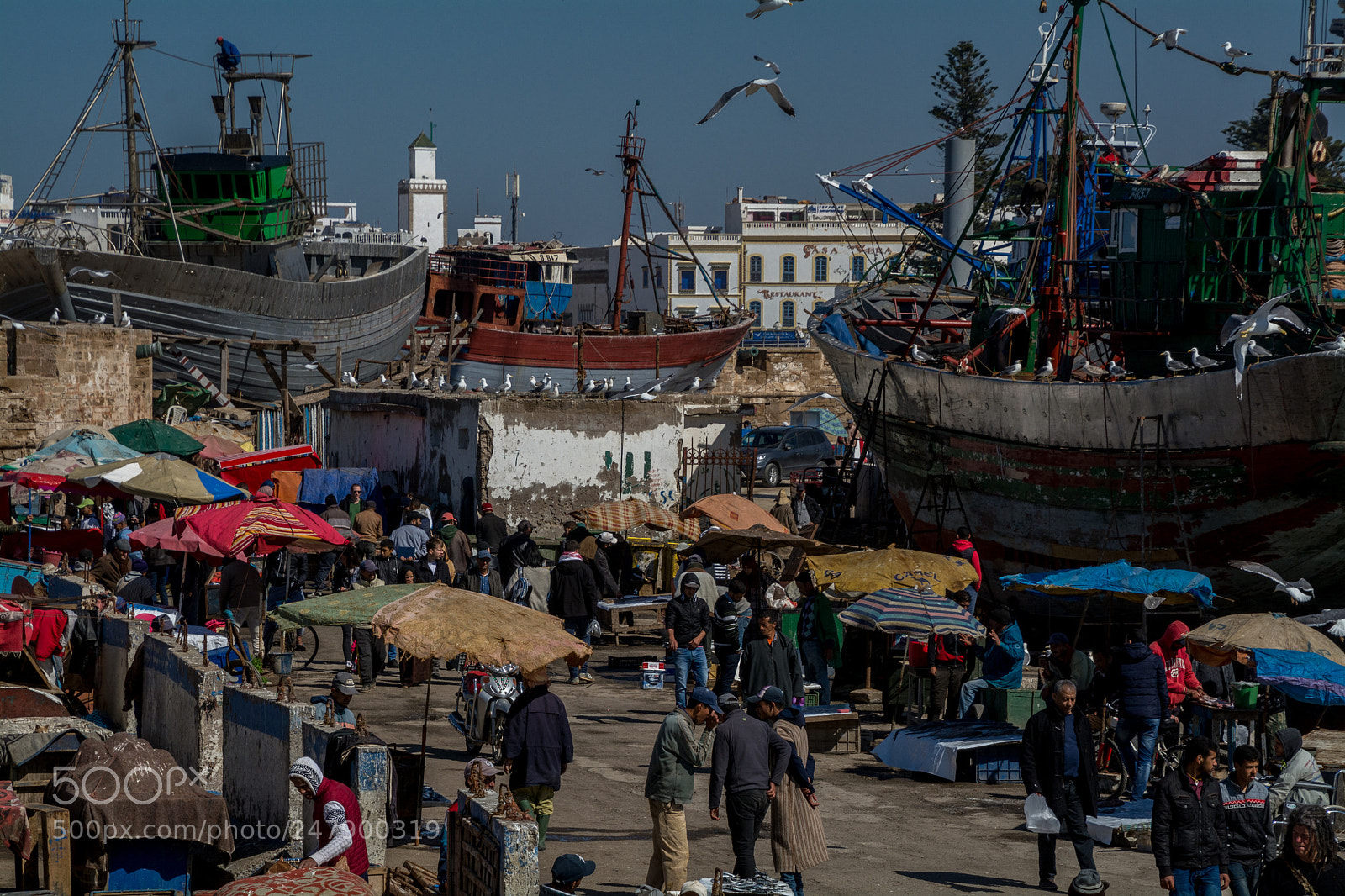 Nikon D7100 sample photo. Port of essaouria photography