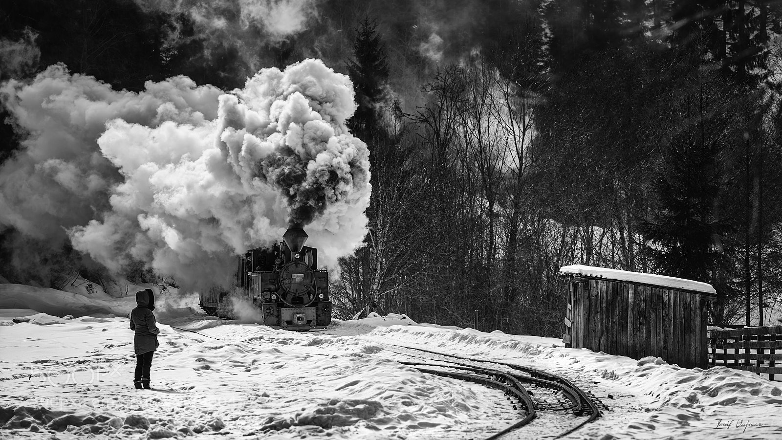 Nikon D4S sample photo. Winter story photography