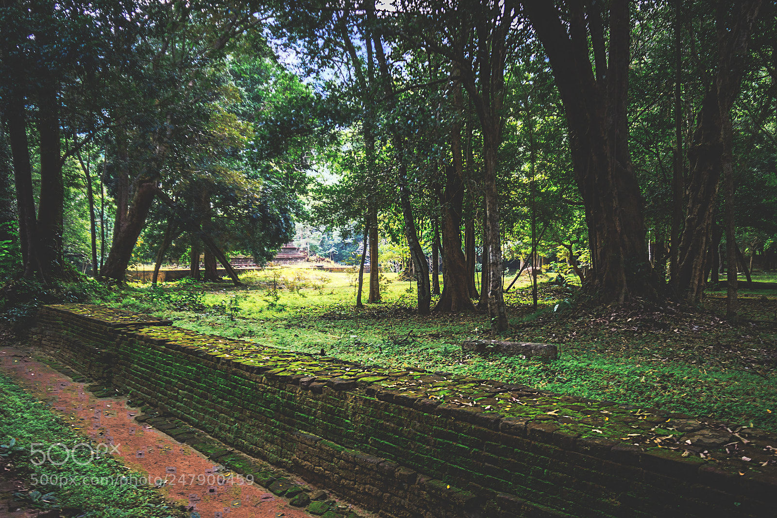 Canon EOS 600D (Rebel EOS T3i / EOS Kiss X5) sample photo. The forgotten temple, sri photography
