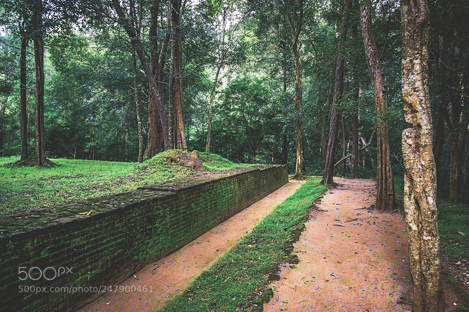 Canon EOS 600D (Rebel EOS T3i / EOS Kiss X5) sample photo. The forgotten temple, sri photography
