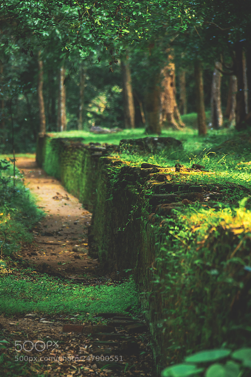 Canon EOS 600D (Rebel EOS T3i / EOS Kiss X5) sample photo. The forgotten temple, sri photography