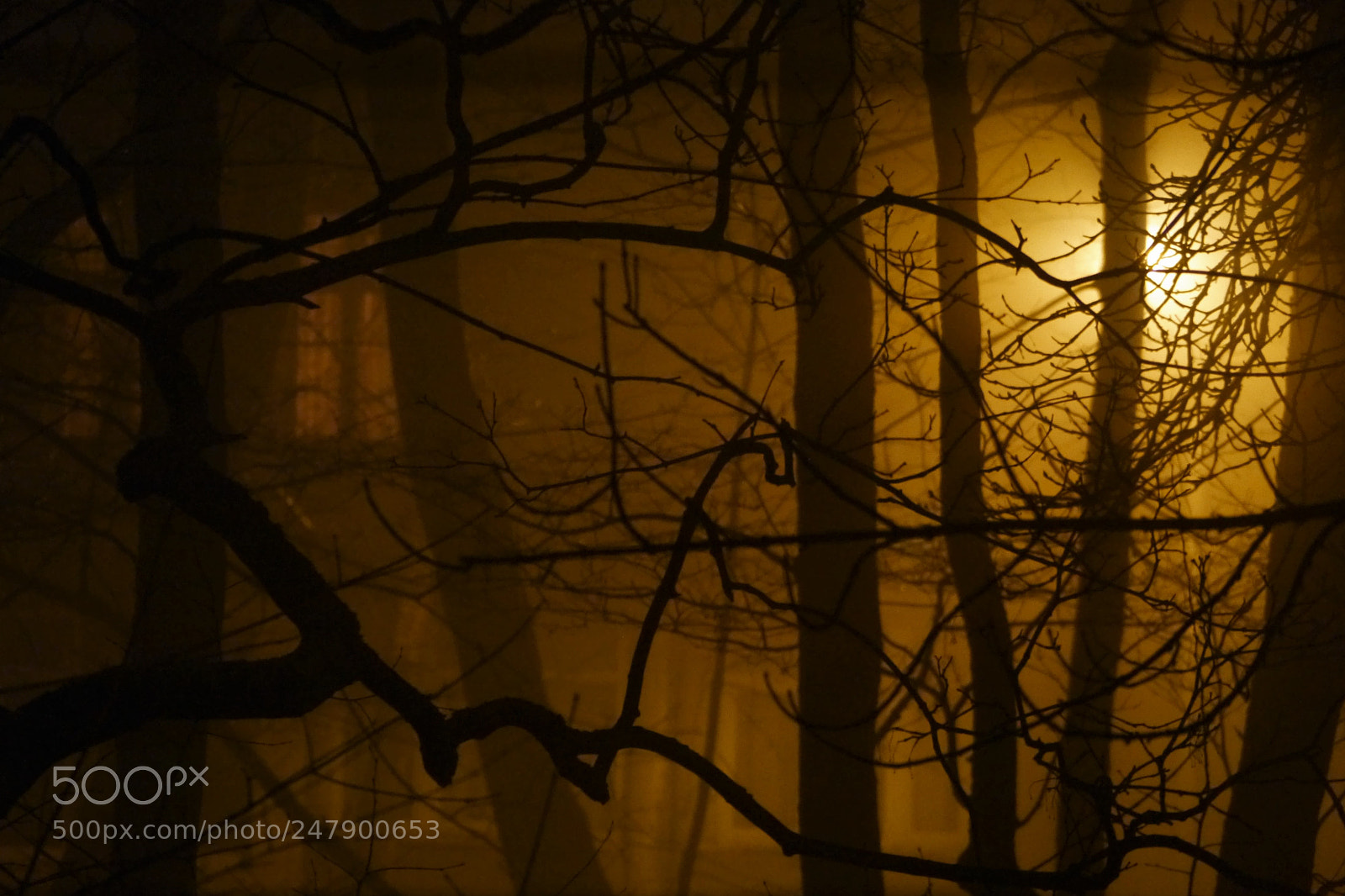 Panasonic Lumix DMC-G5 sample photo. Night fog photography
