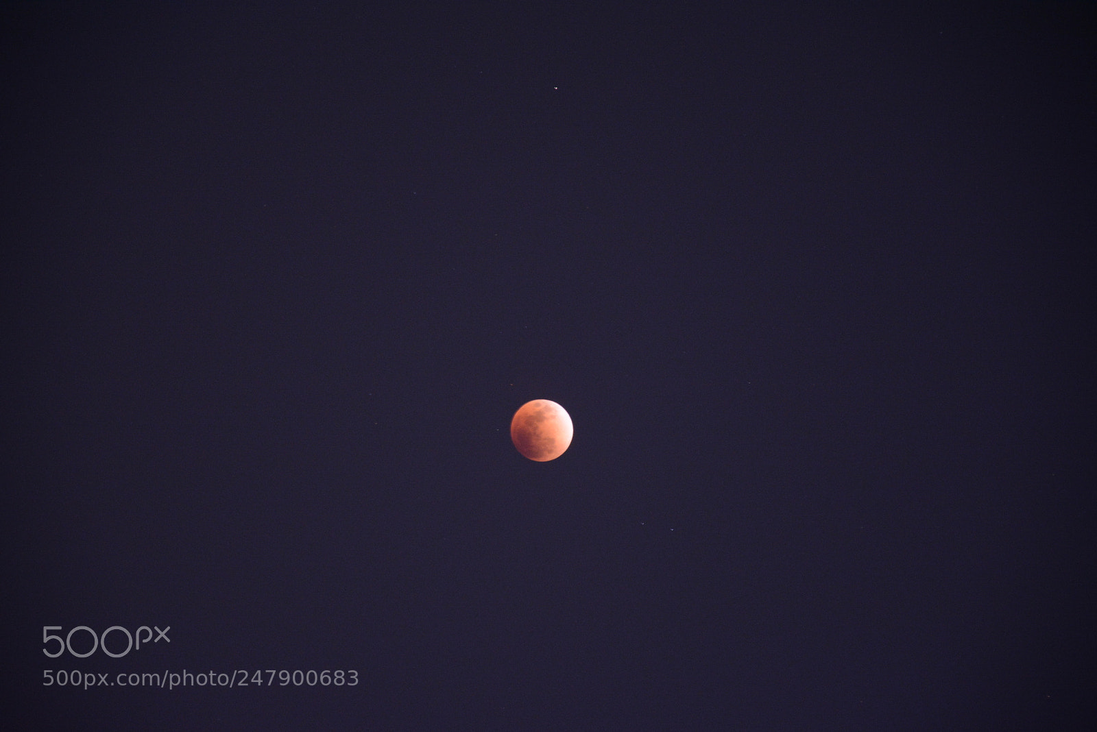 Nikon D7100 sample photo. Untitled photography