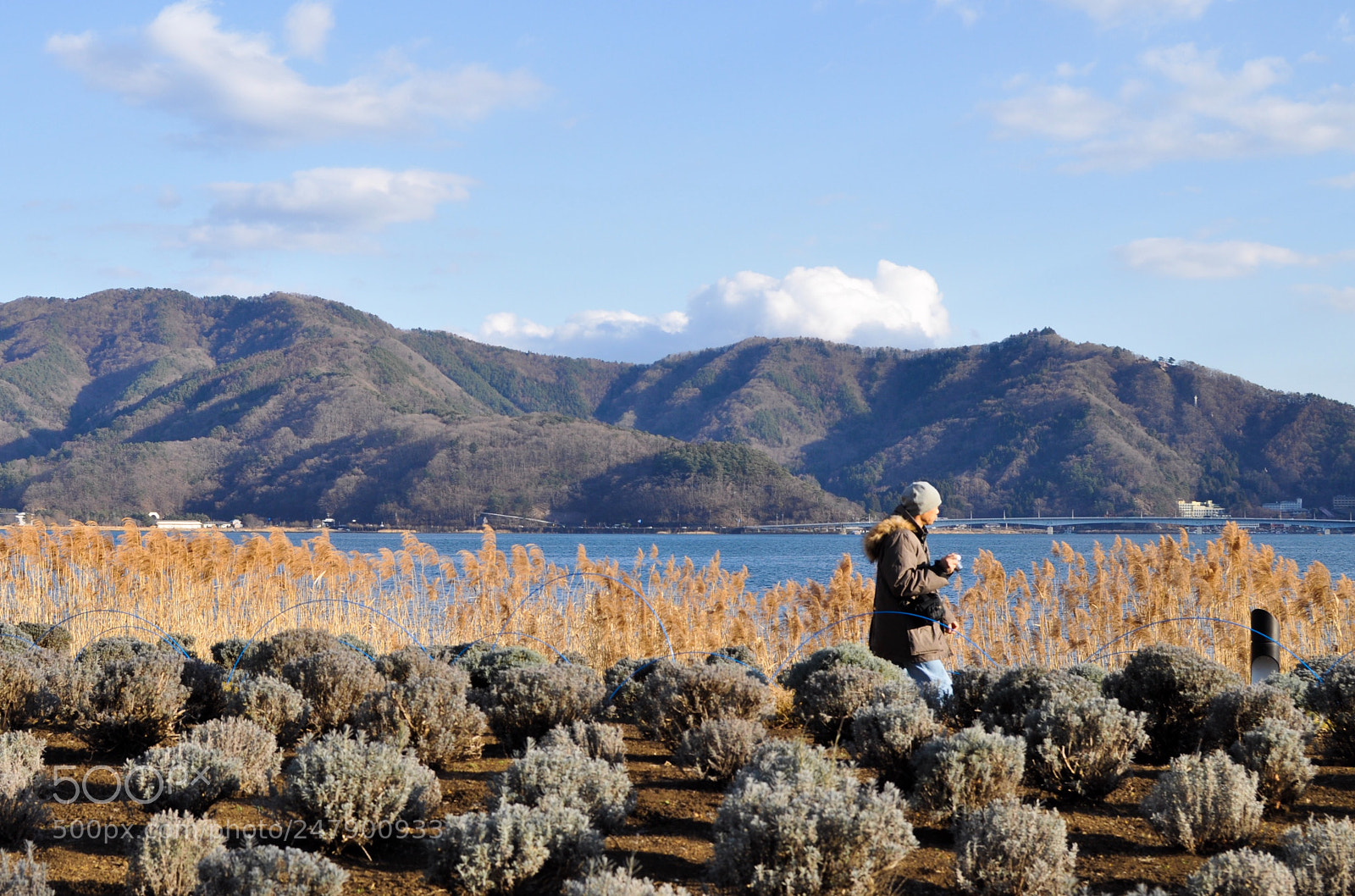 Nikon D5000 sample photo. Man wearing colors of photography